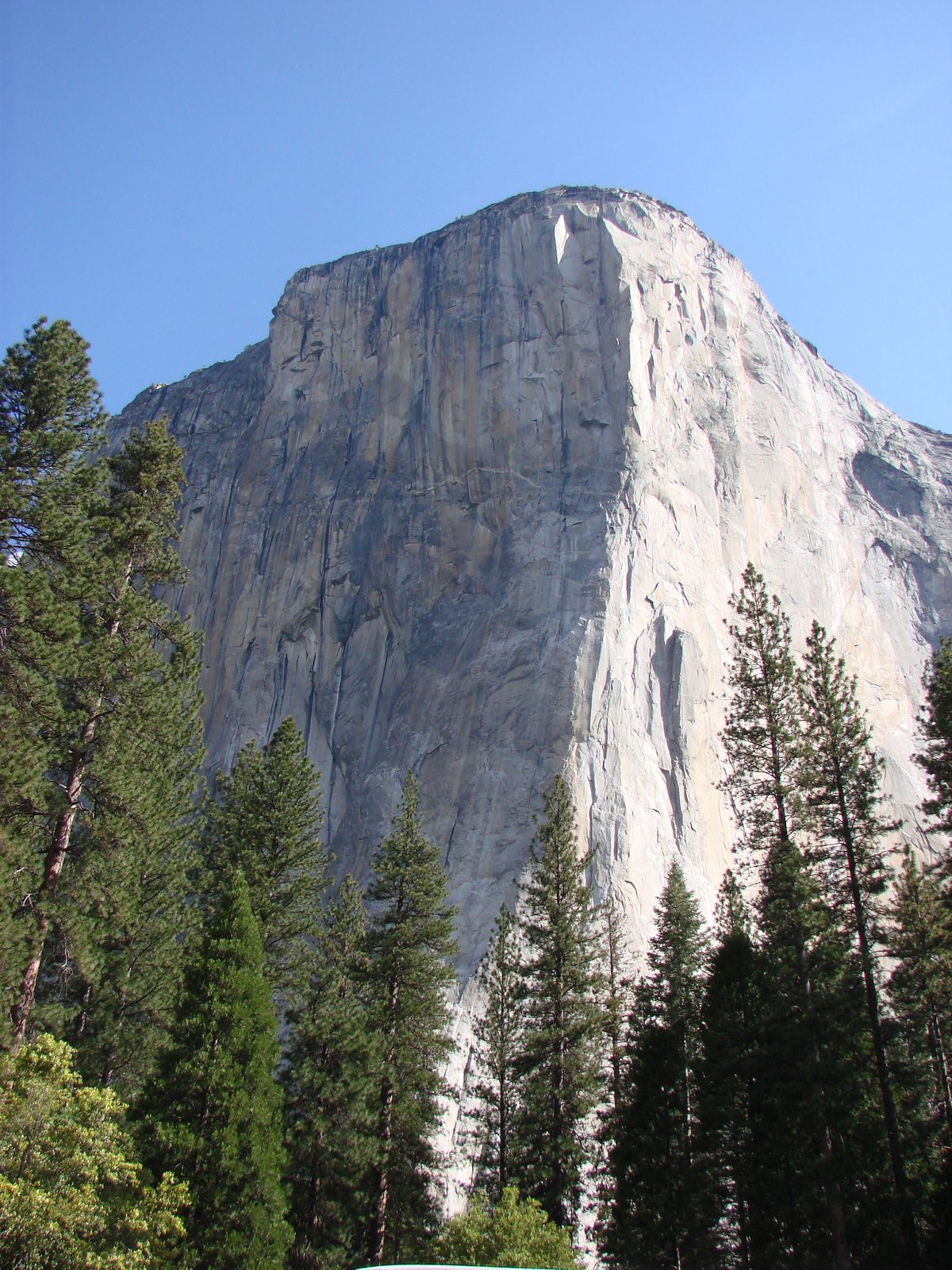 El Capitan from the valley floor
