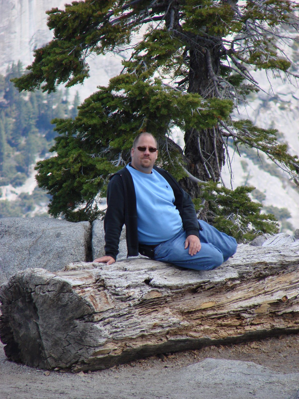 Me on a fallen sequoia log at Glacier Point