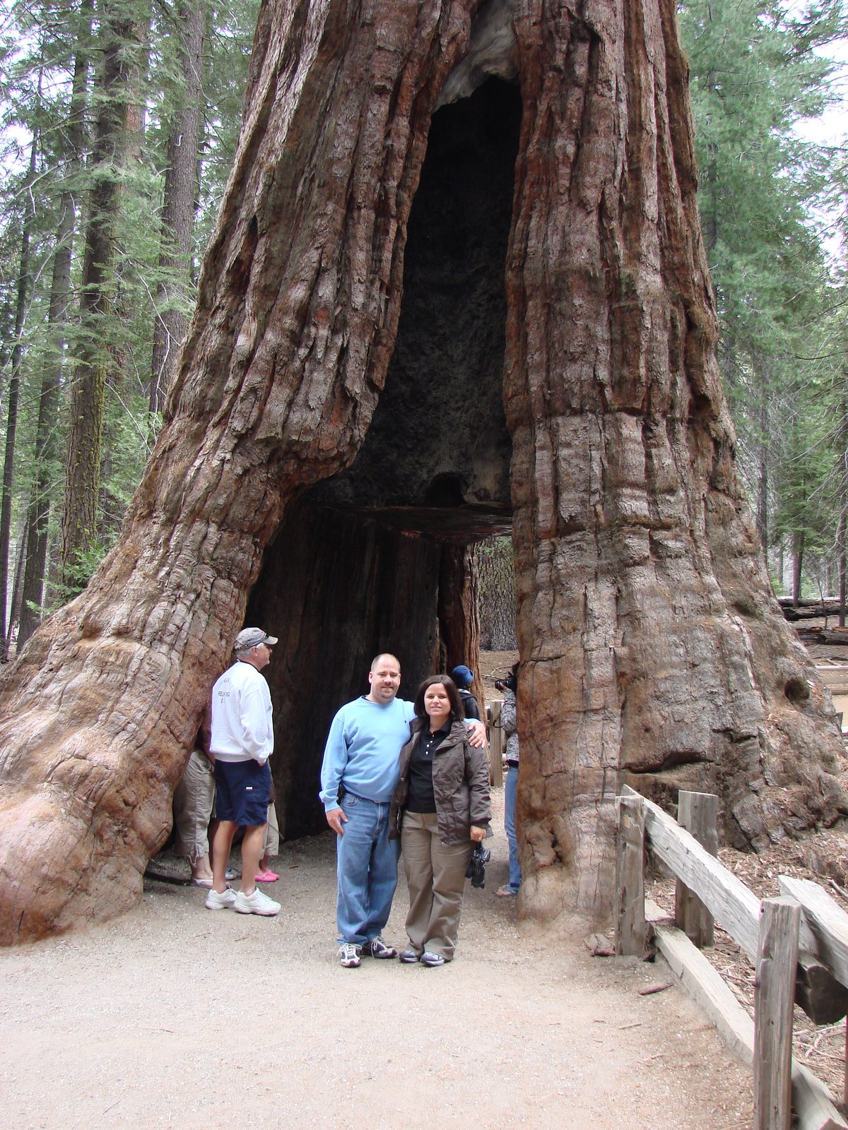 Kathy and Michael at the giant sequoias in Mariposa Grove