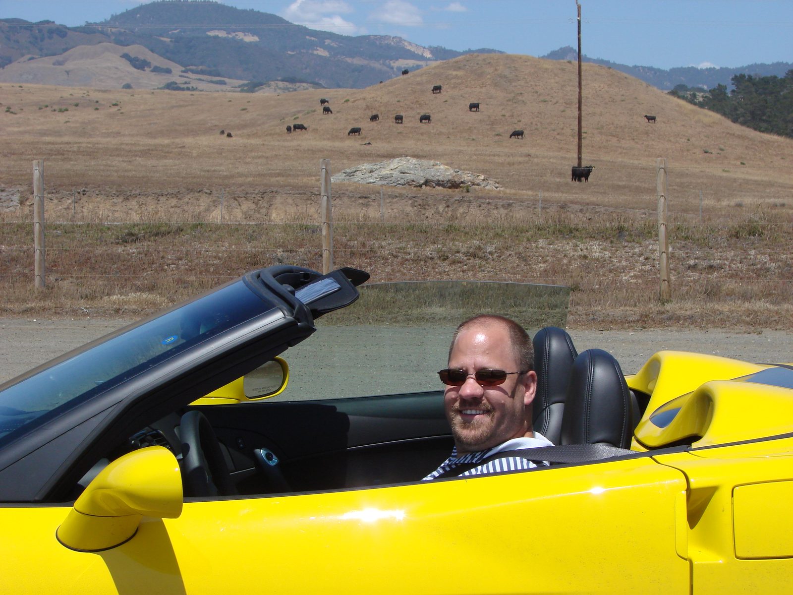 Me behind the wheel, cattle grazing the hills behind