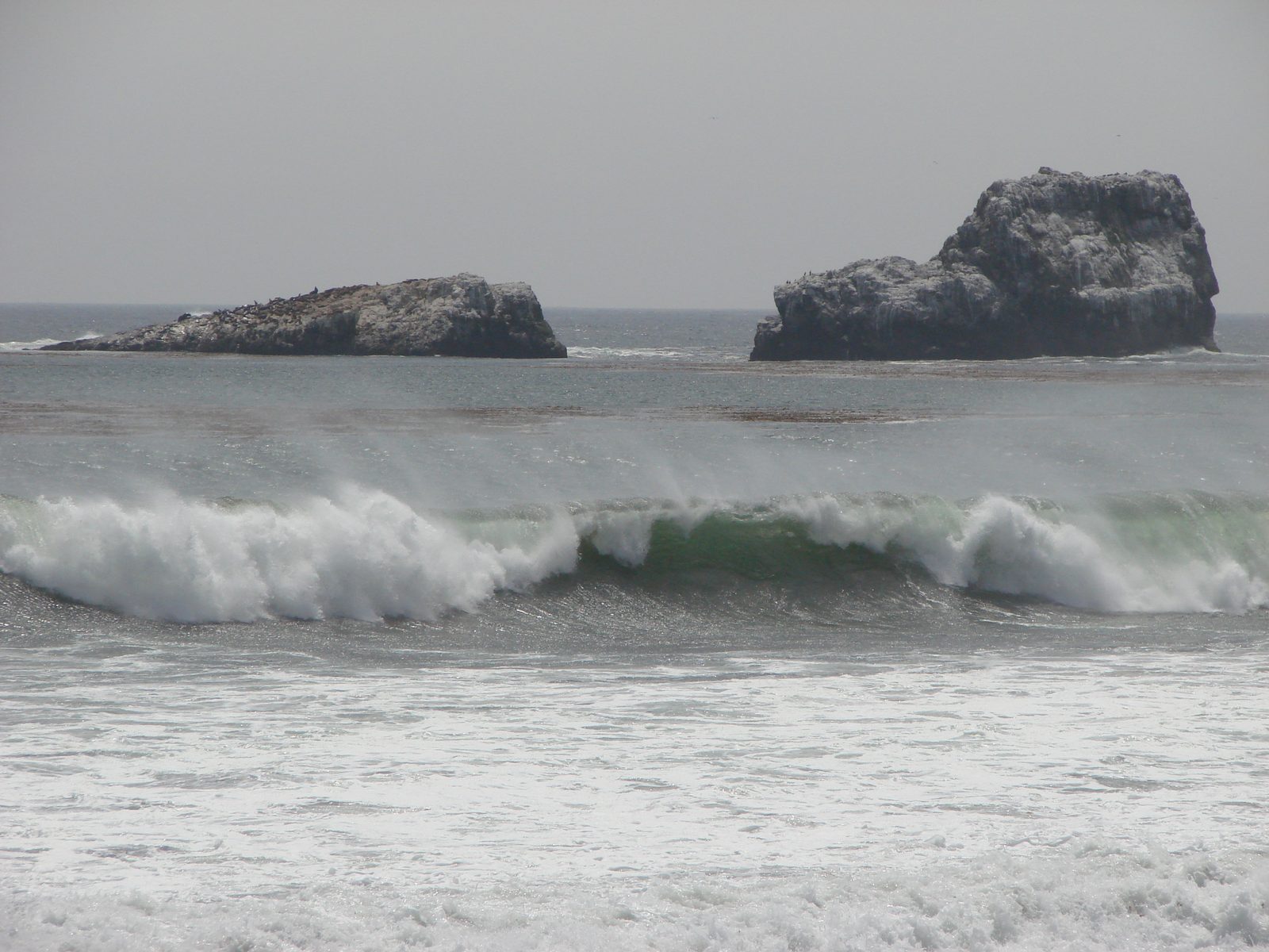 Big waves on our drive up the coast