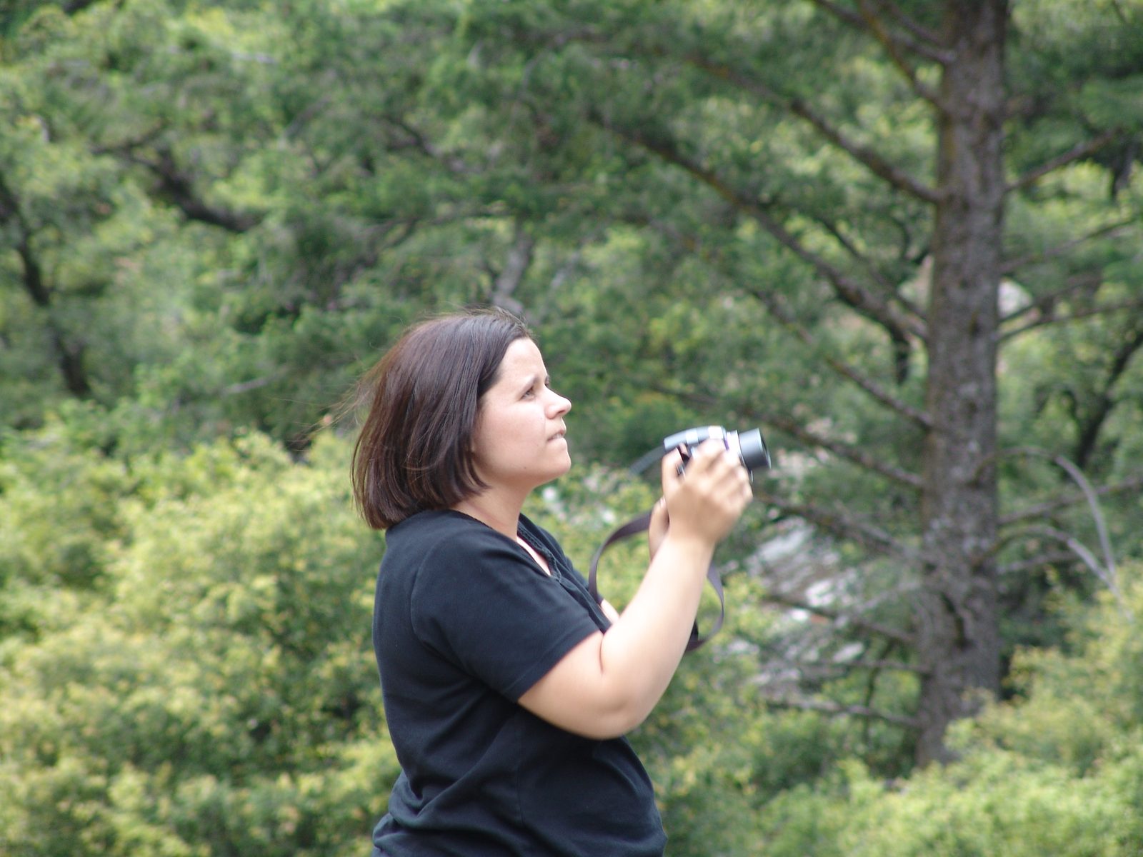 Kathy taking pictures at Yosemite