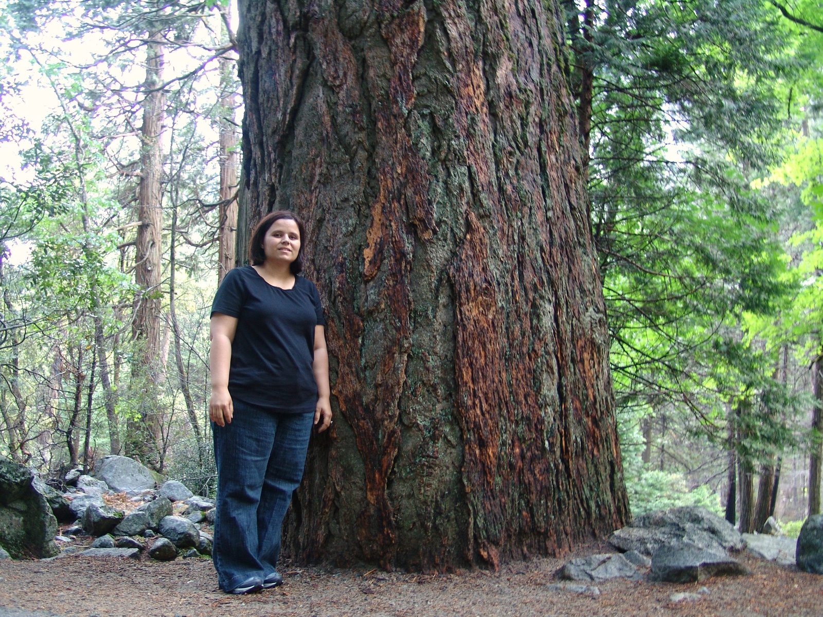 Kathy beside a big valley tree
