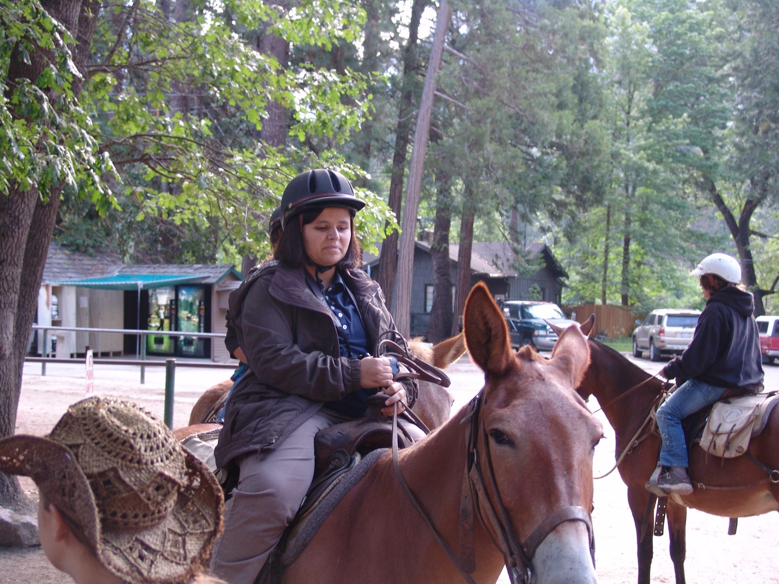 Kathy saddled up for our Yosemite trail ride