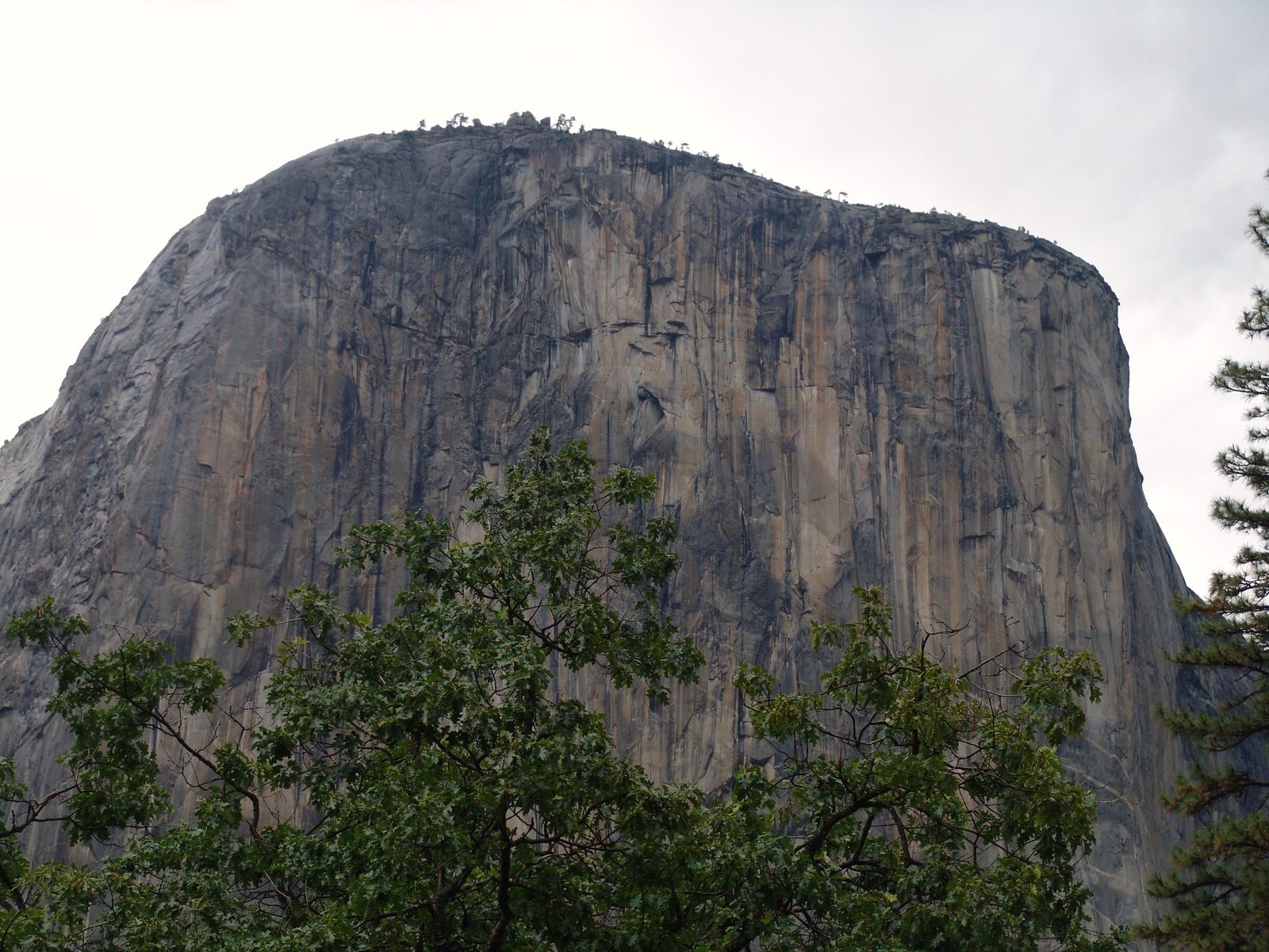 Northern California, 6Yr Anniversary Bucket List Trip