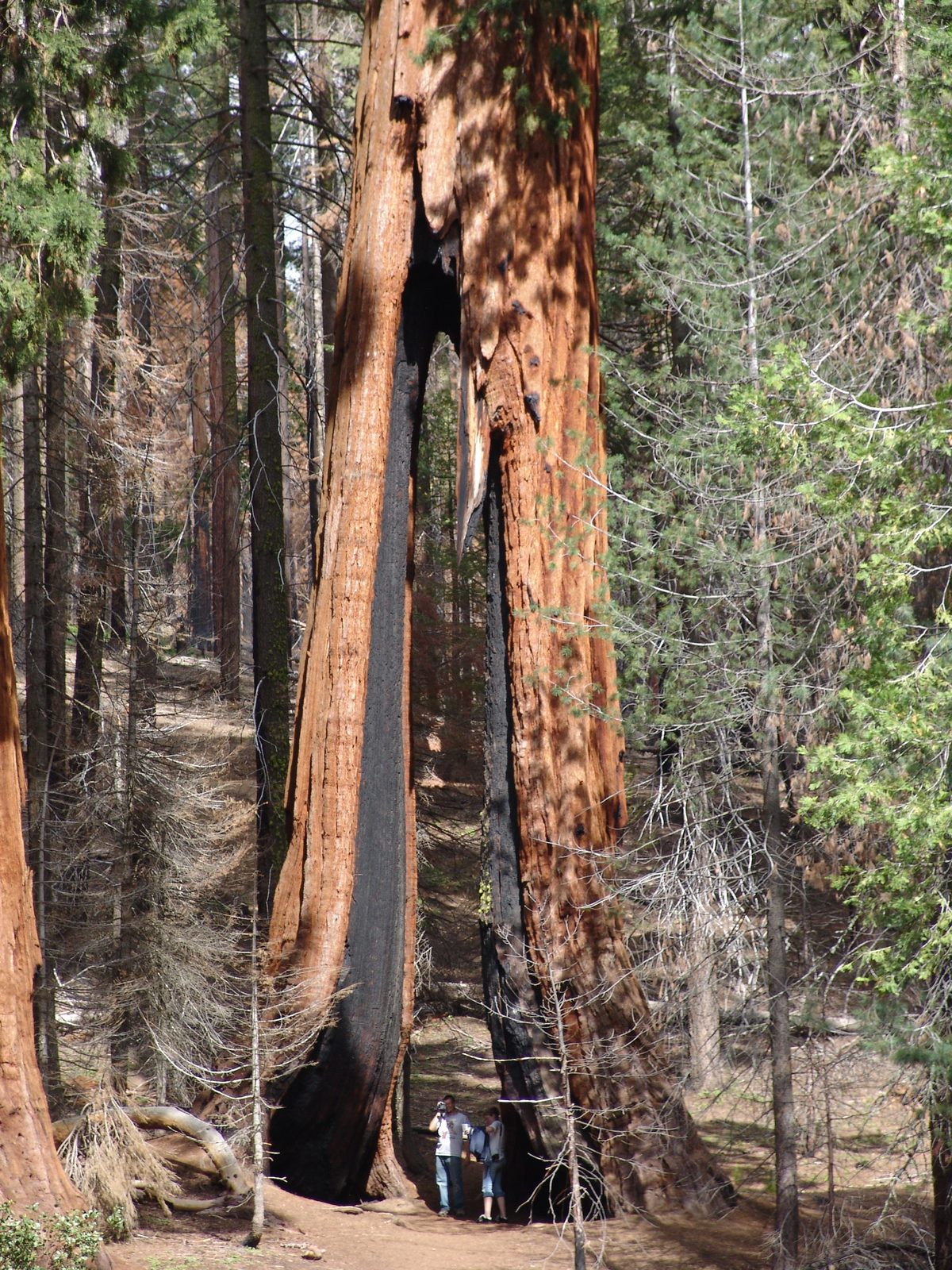 Northern California, 6Yr Anniversary Bucket List Trip
