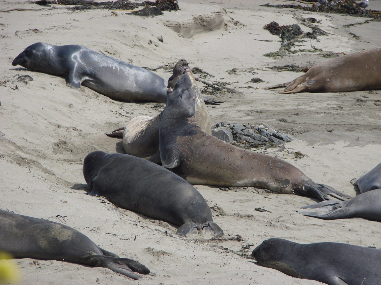 Northern California, 6Yr Anniversary Bucket List Trip
