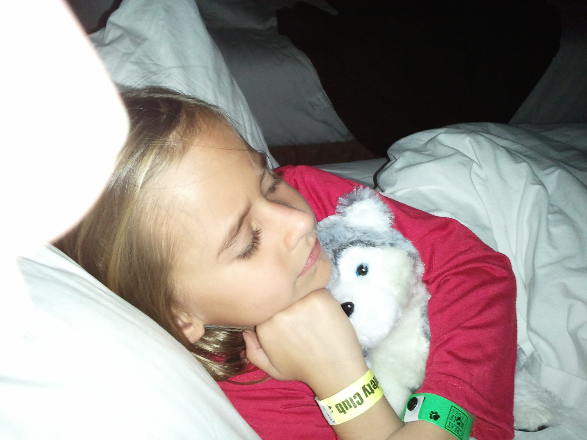 Asleep with her stuffed wolf at Great Wolf Lodge