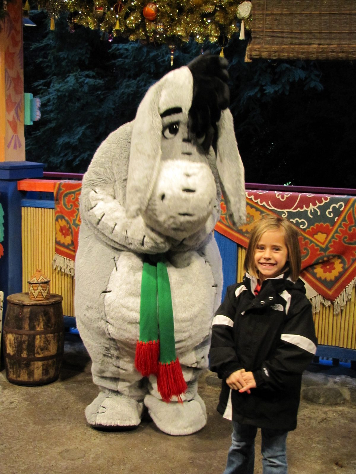 Eeyore in his Christmas scarf with Lisa at Animal Kingdom