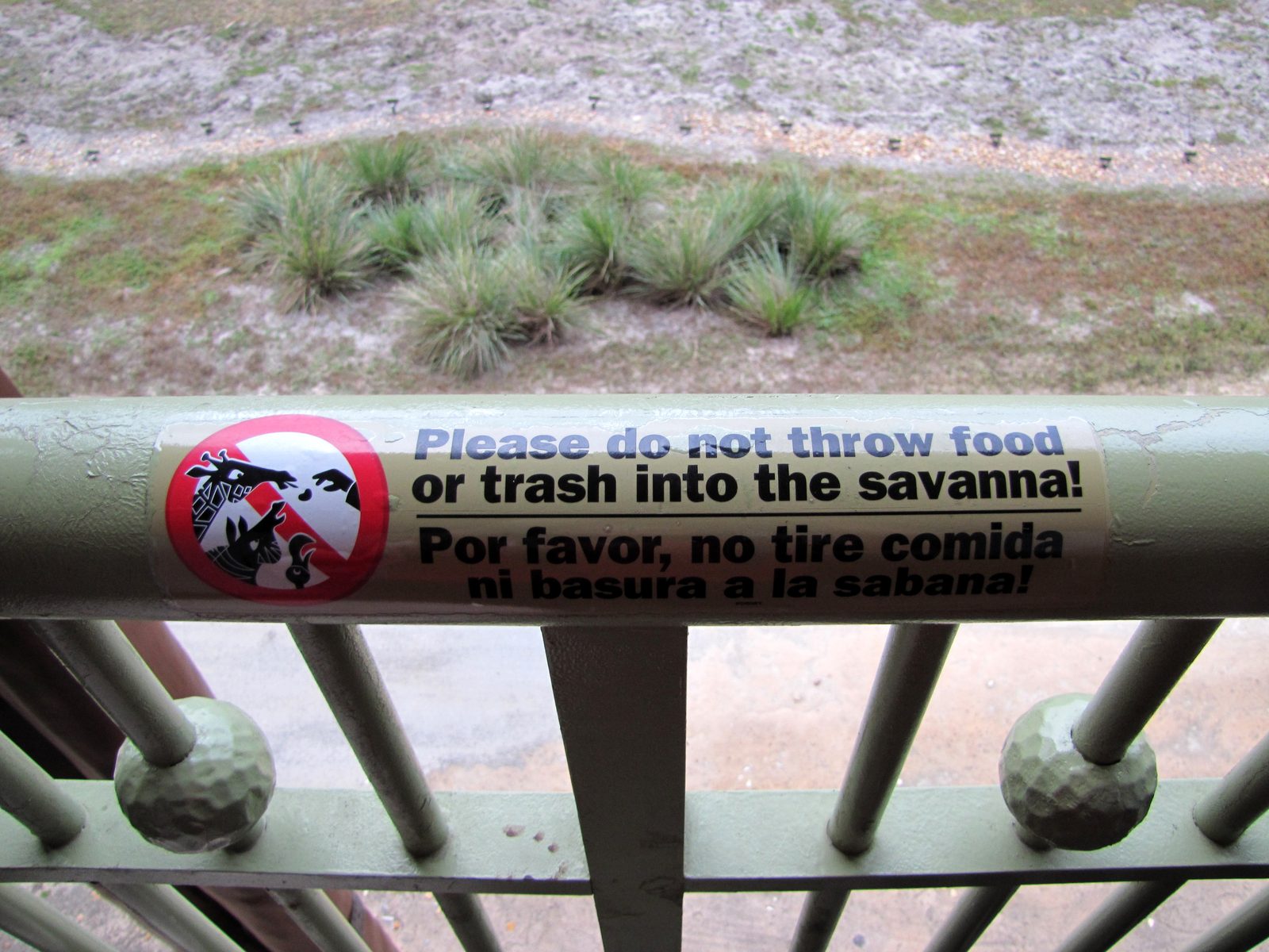 Savanna sign from the balcony