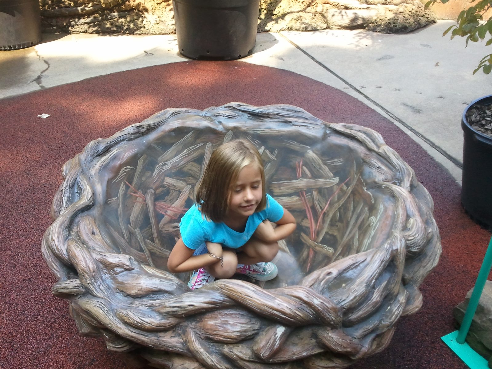 Lisa curled up in the giant nest