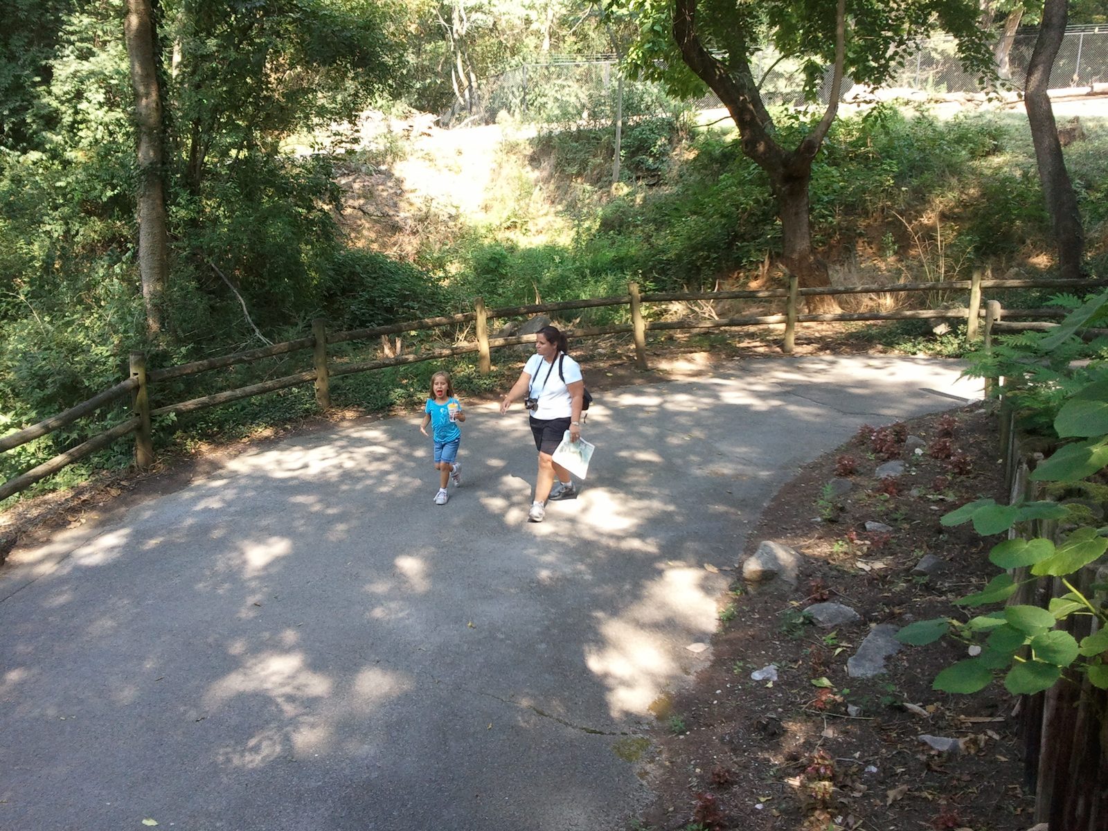 Walking the path at the zoo