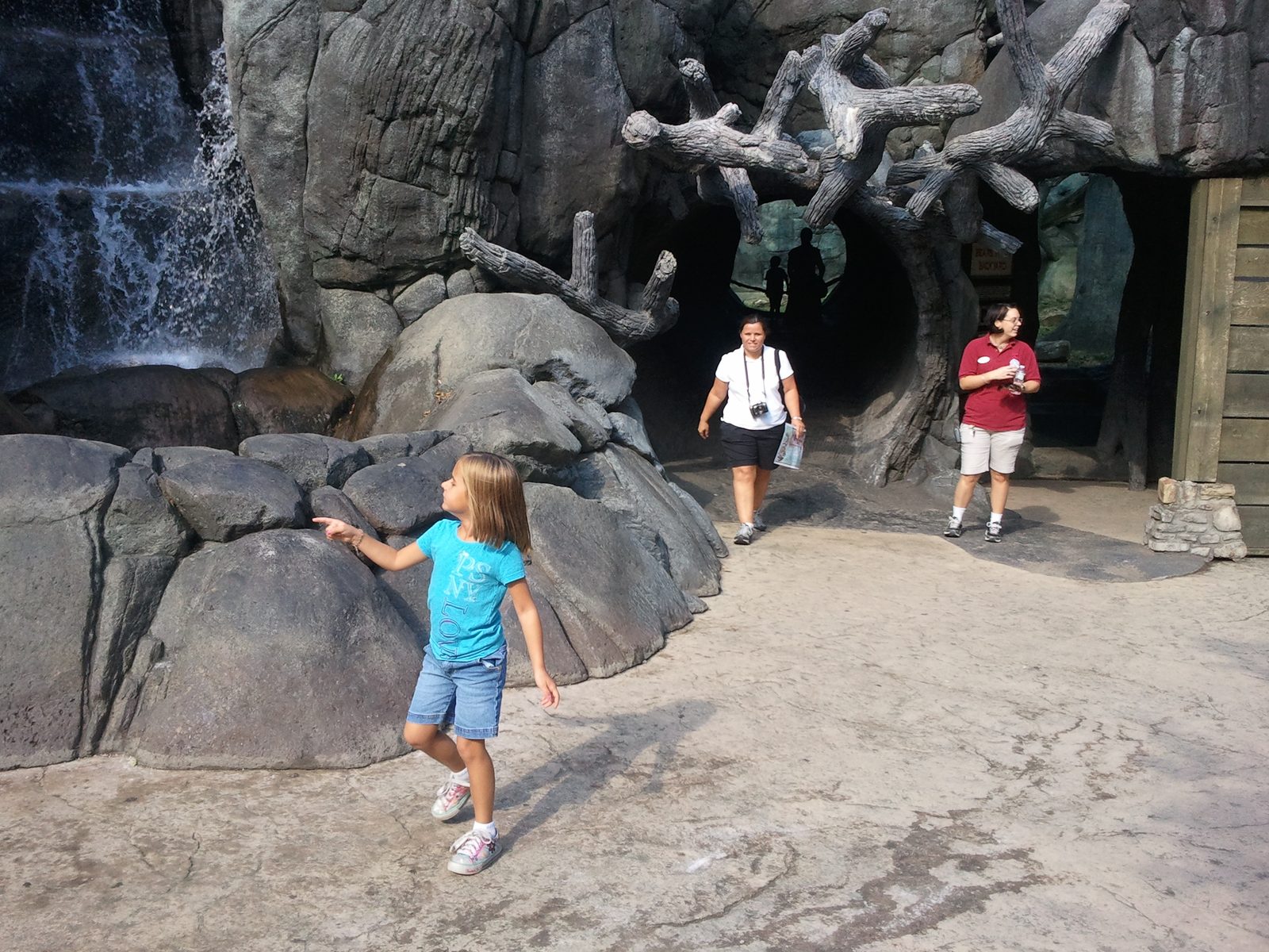 At the cave exhibit at the zoo