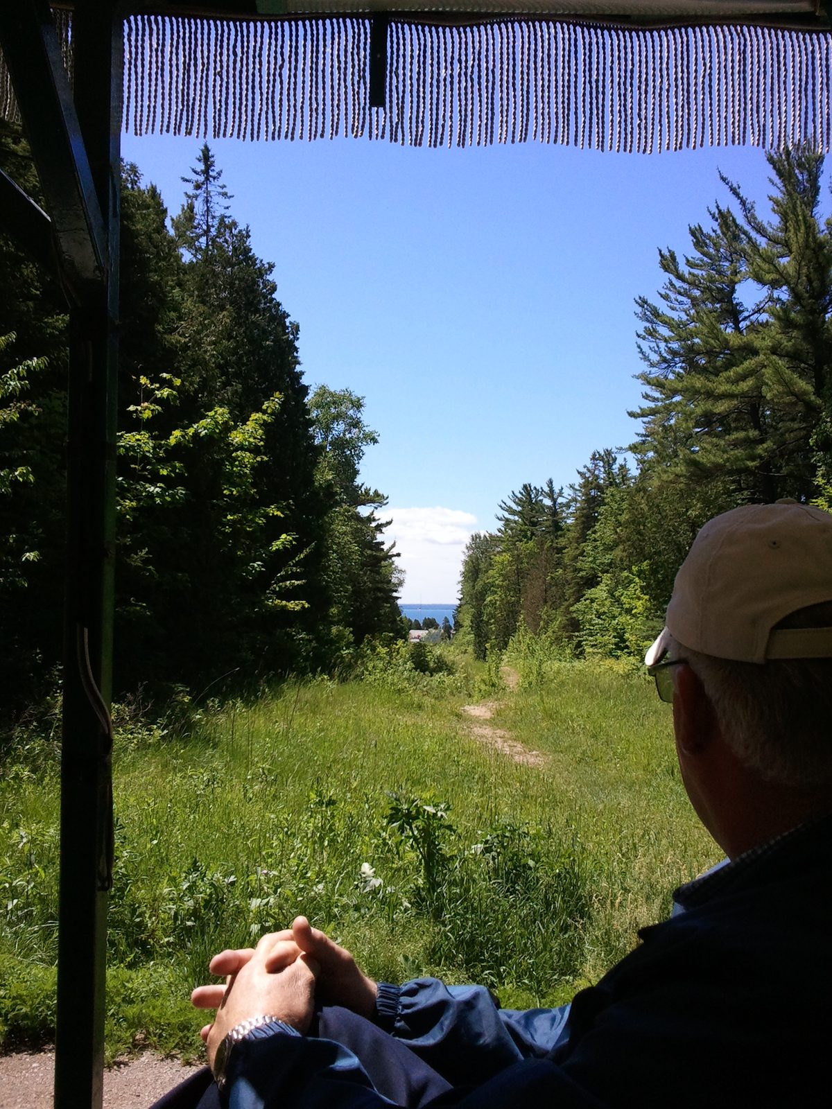 Taking in the view from the carriage