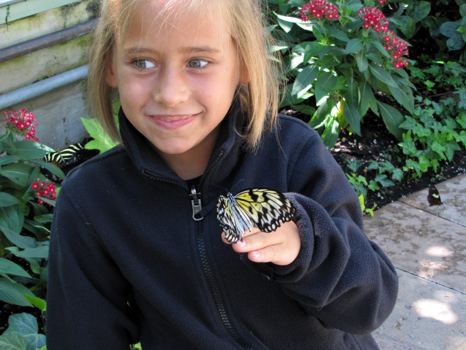 A butterfly lands on Lisa's arm