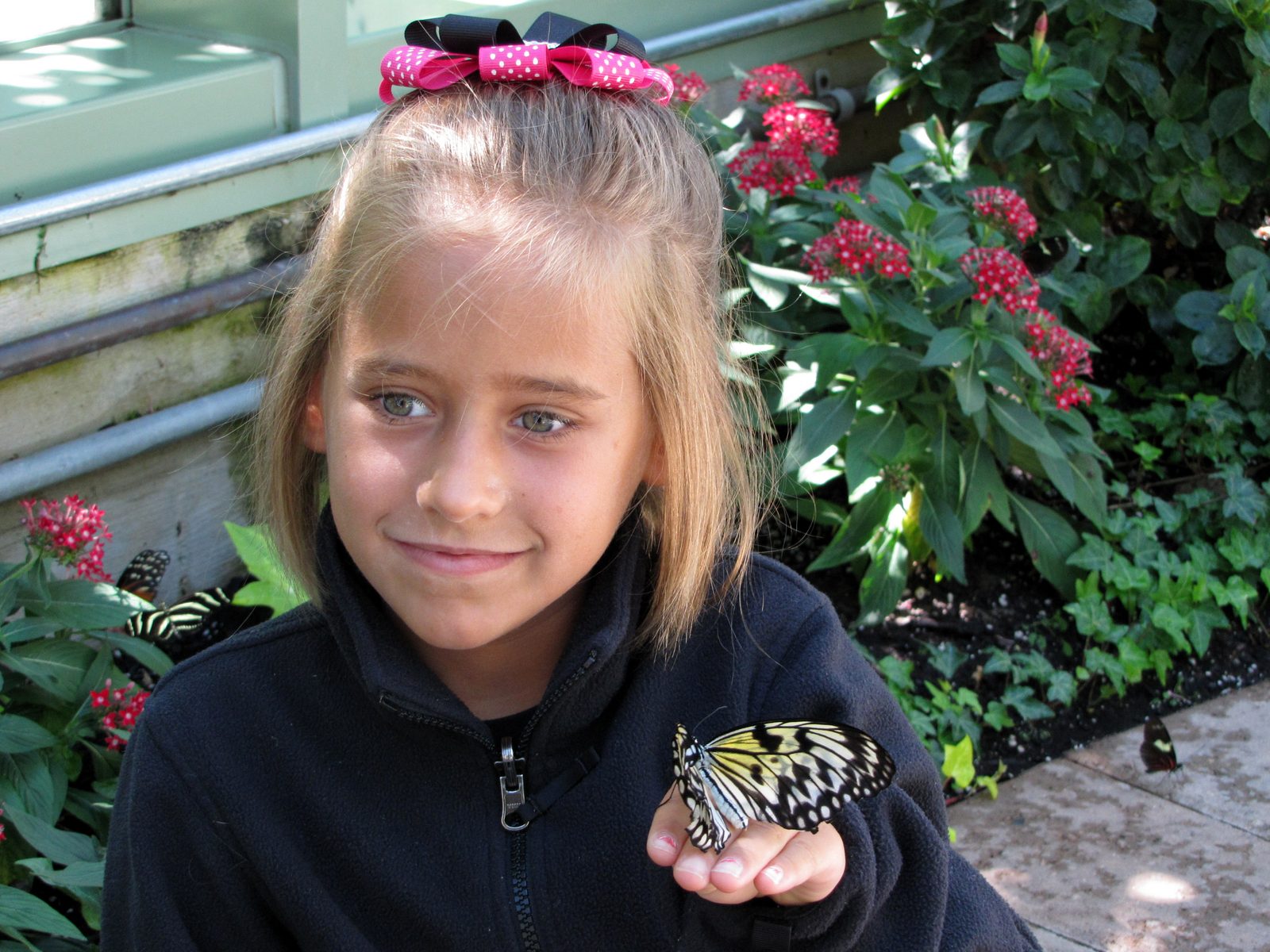 A butterfly landed on Lisa's hand