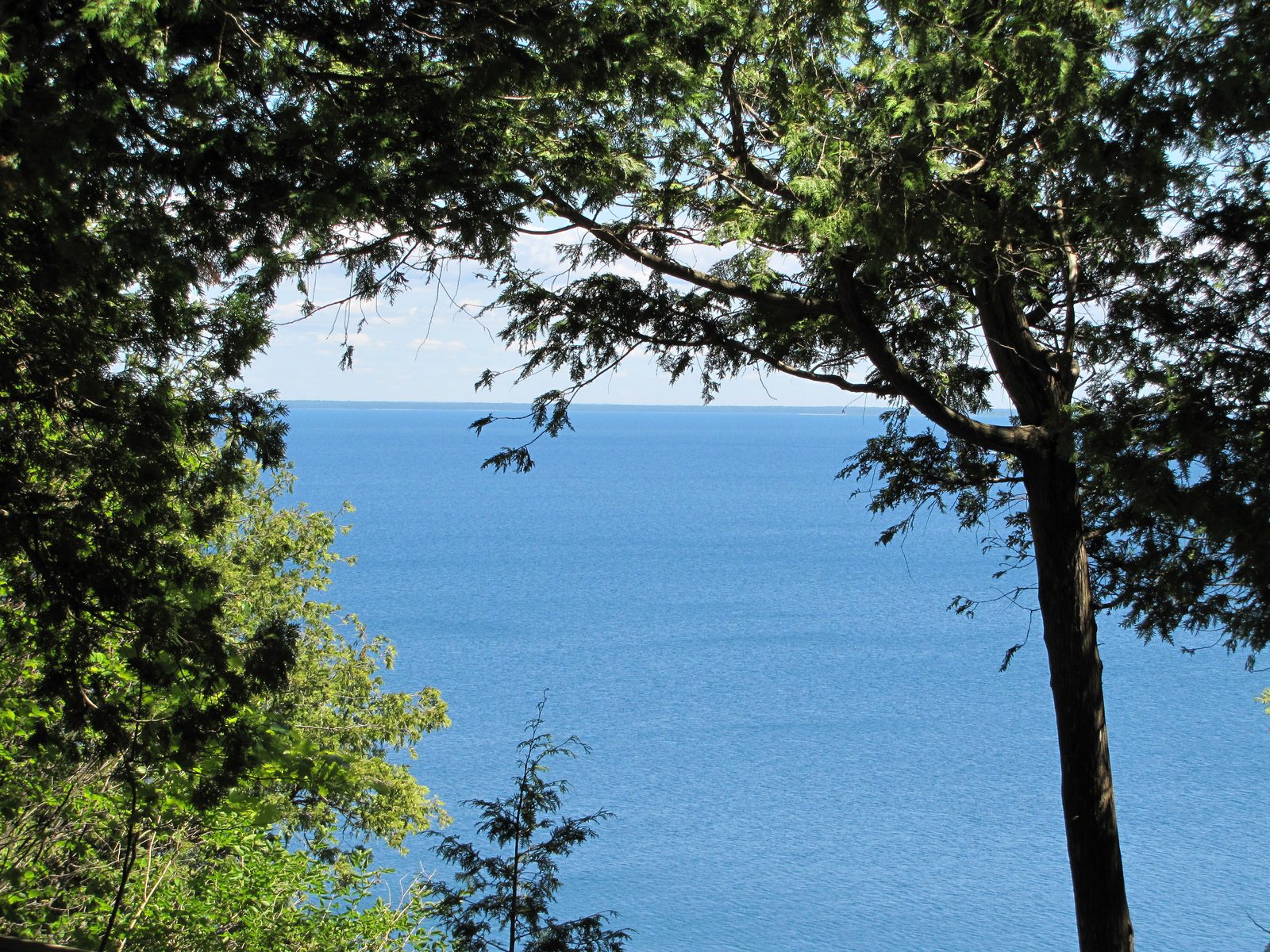 Looking out at the lake through the trees near Arch Rock