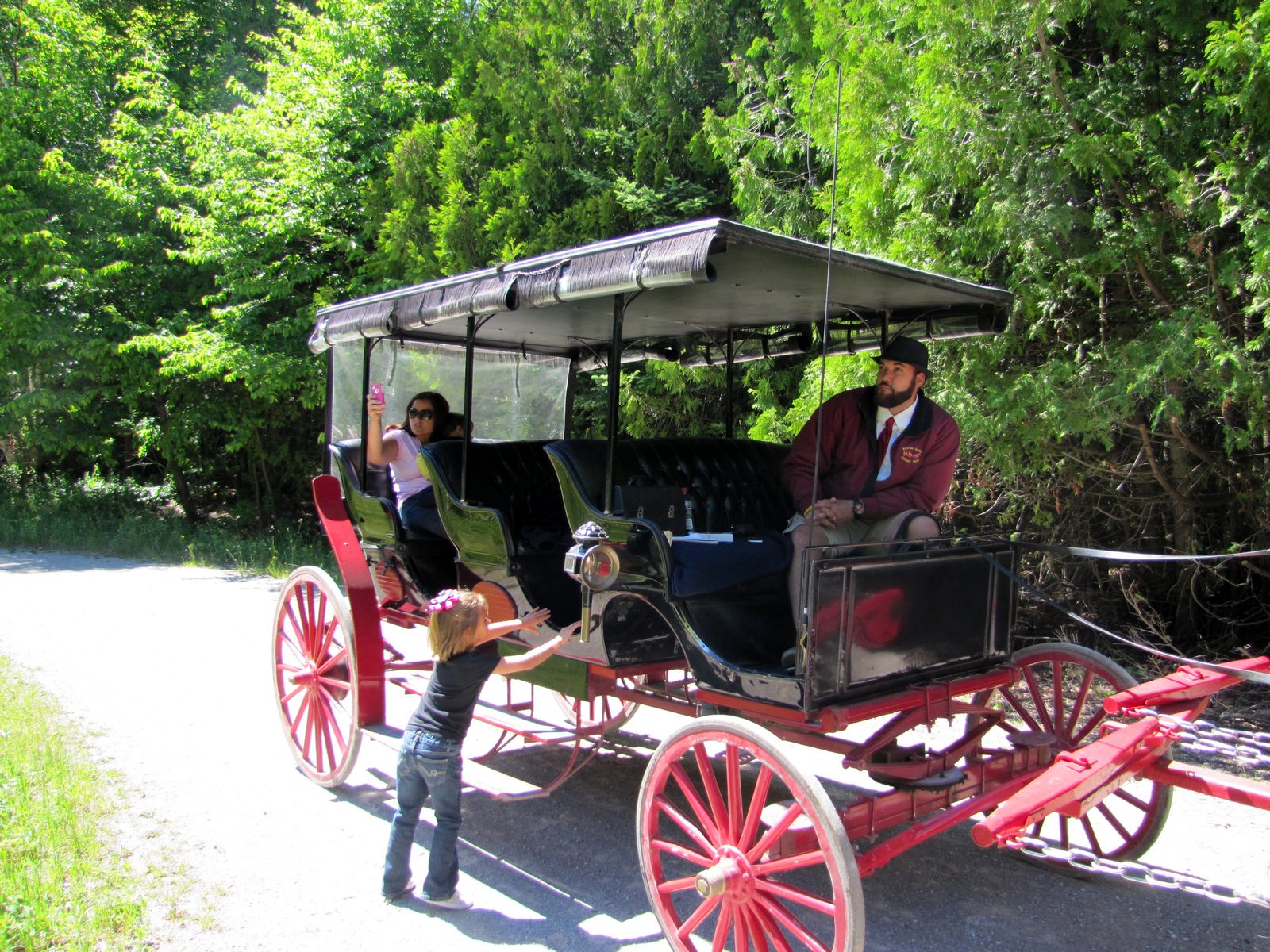 Our red-wheeled carriage and driver out at Sugar Loaf