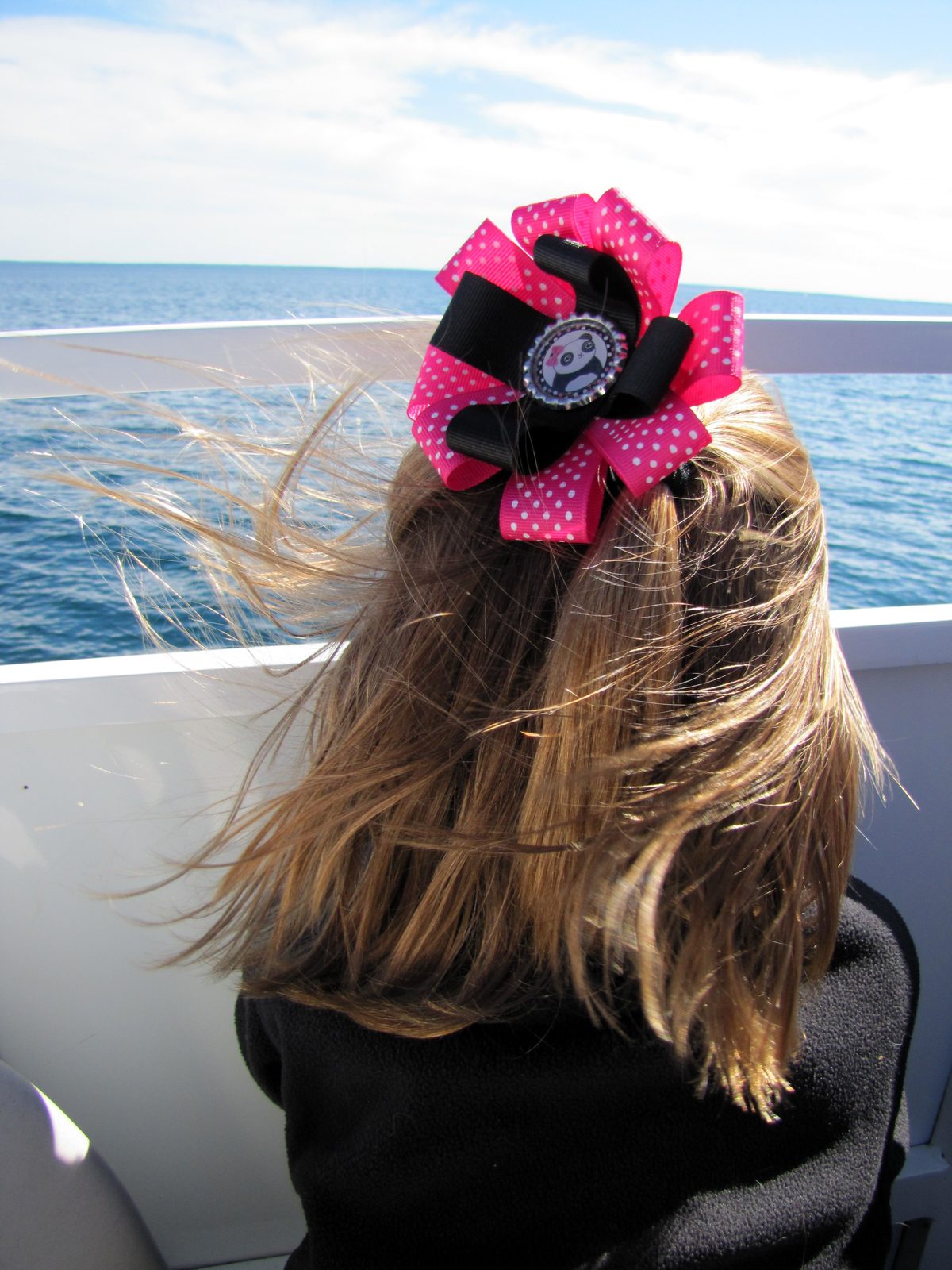 Lisa's bow blowing in the wind on the ferry