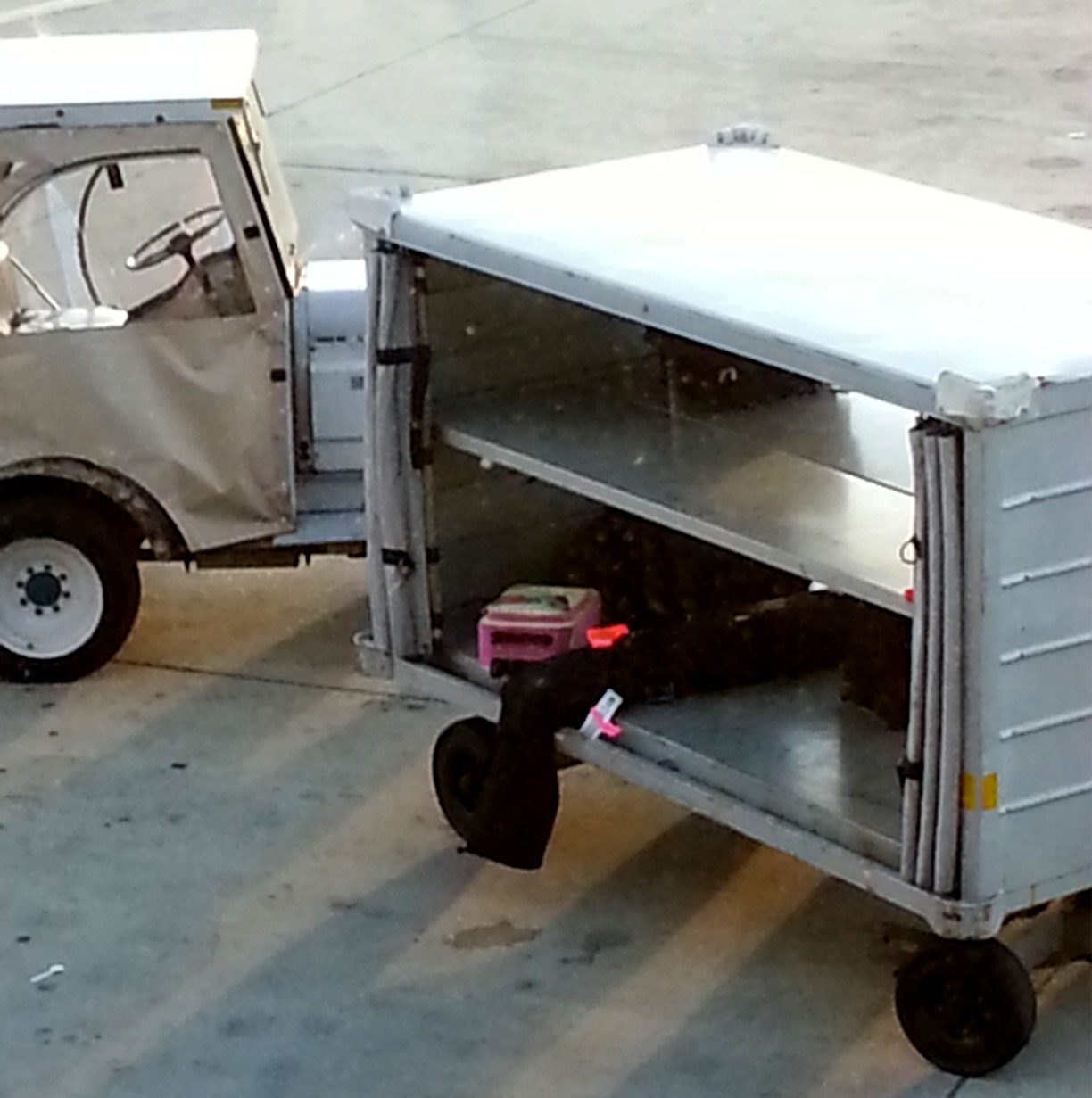 Ol' Eagle Eye spotted her luggage being staged for our plane to Orlando