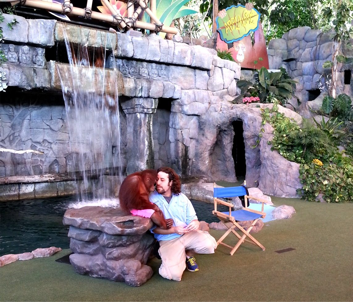 A stop to meet an orangutan