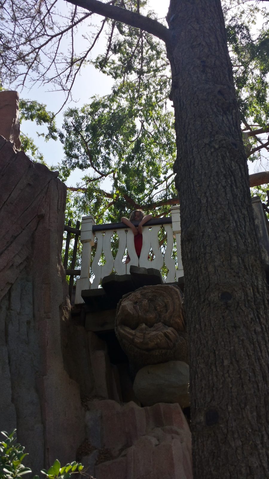 Waving down from the treehouse at Disneyland