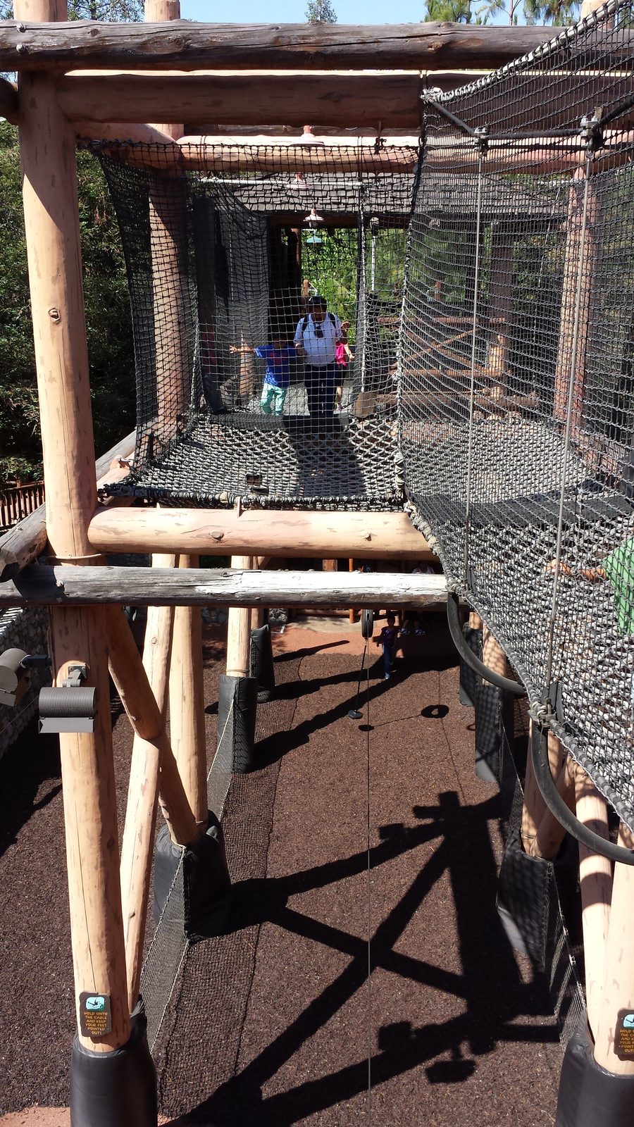 The net bridge on Redwood Creek Challenge Trail