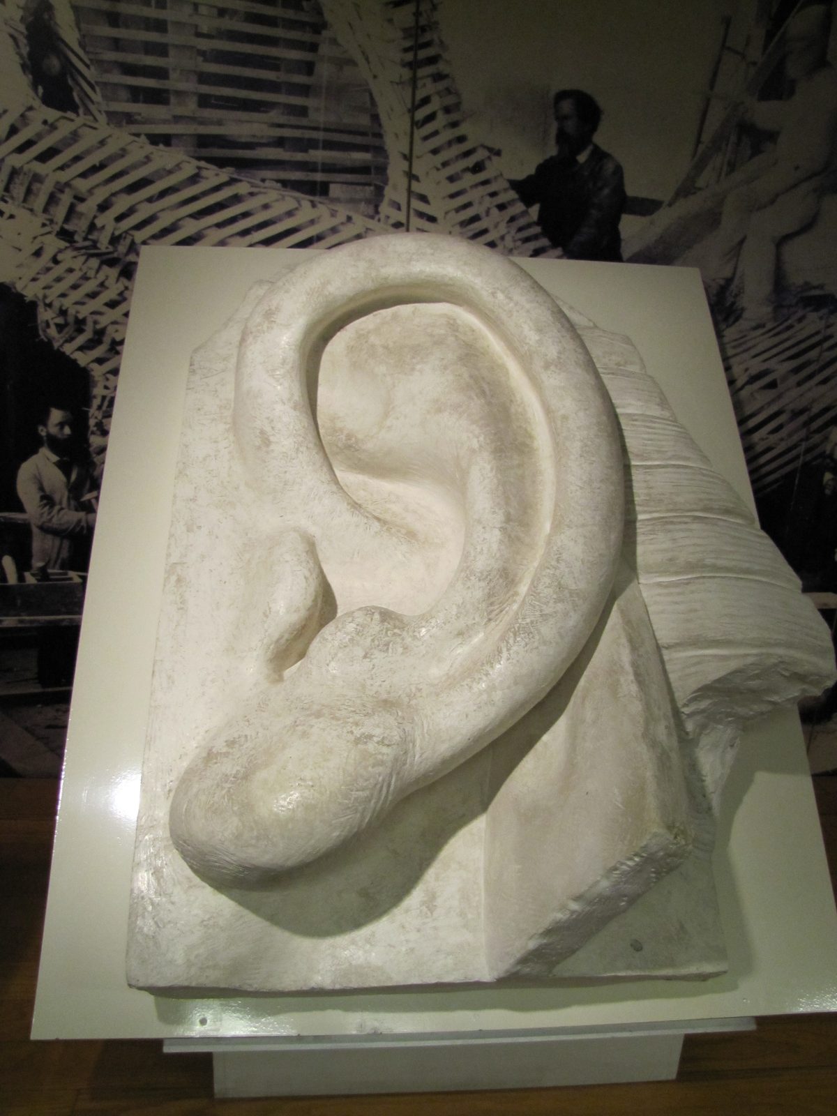 The statue's giant plaster ear in the pedestal museum