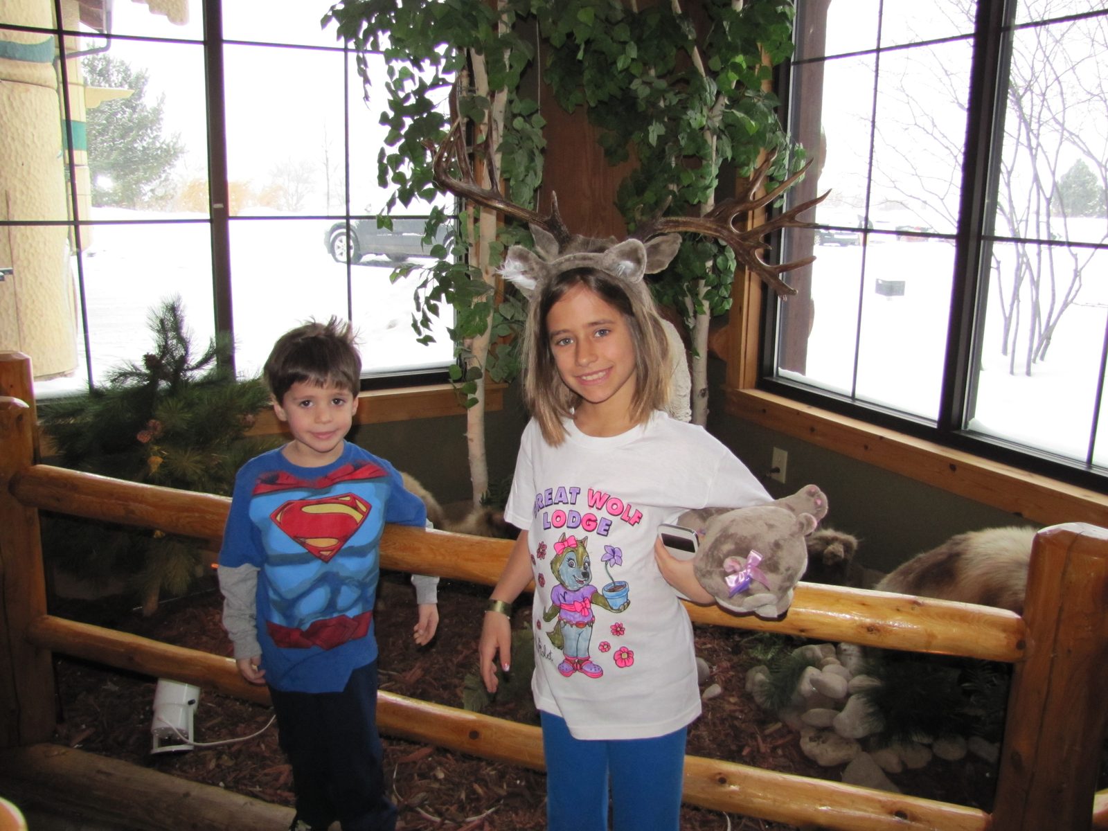 Antler headbands by the taxidermy display