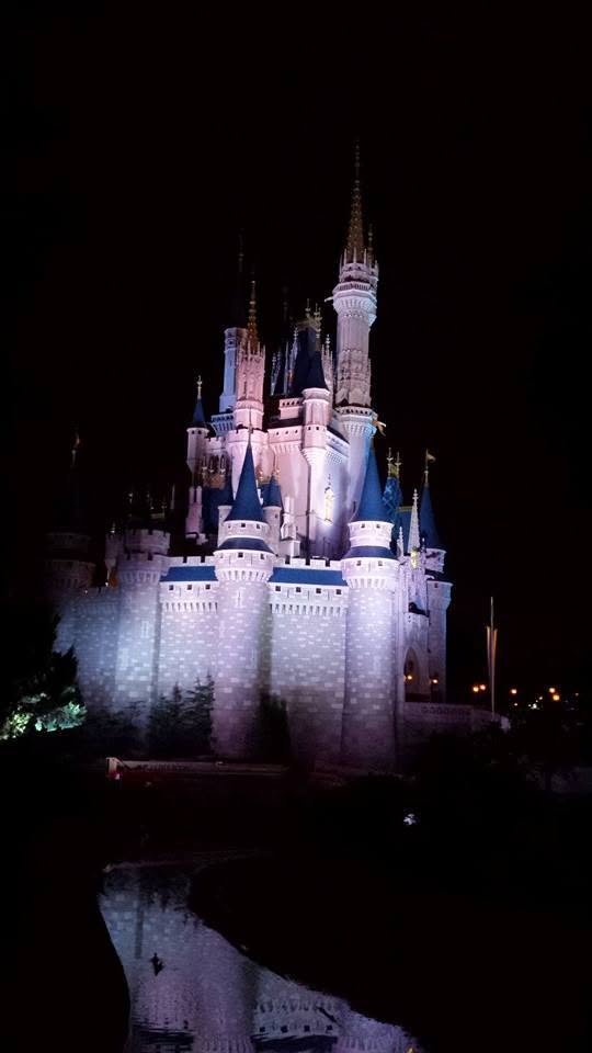 Cinderella Castle lit up on our last night
