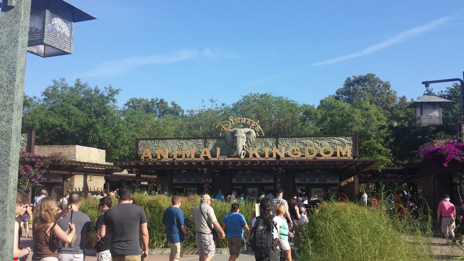 Back at the Animal Kingdom entrance
