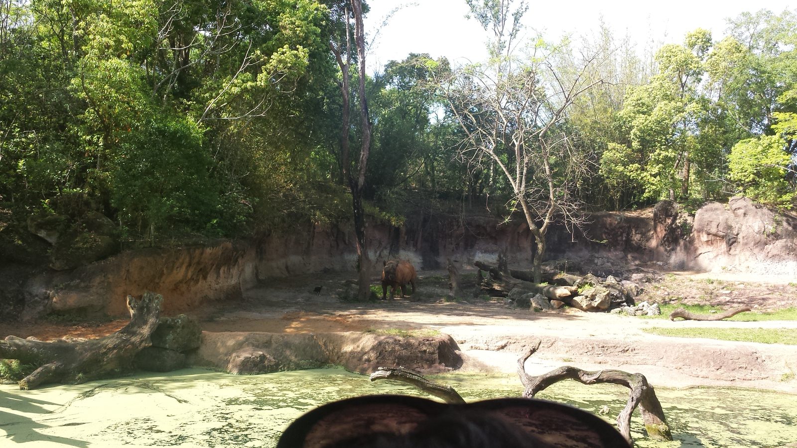 More wildlife along the safari trail