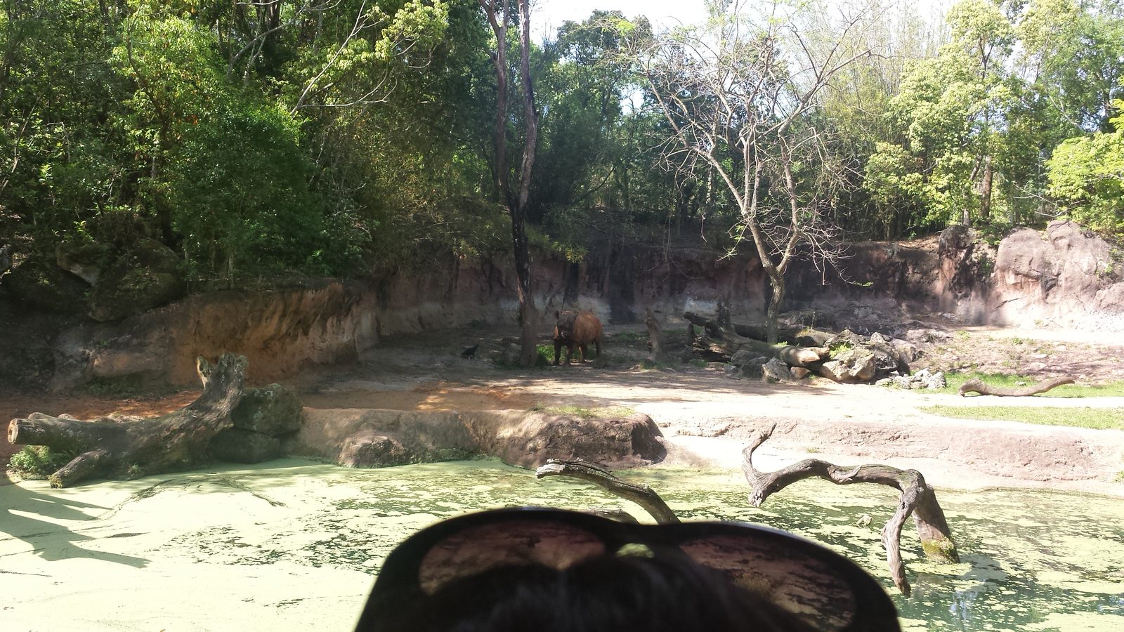 Watching wildlife from our safari truck