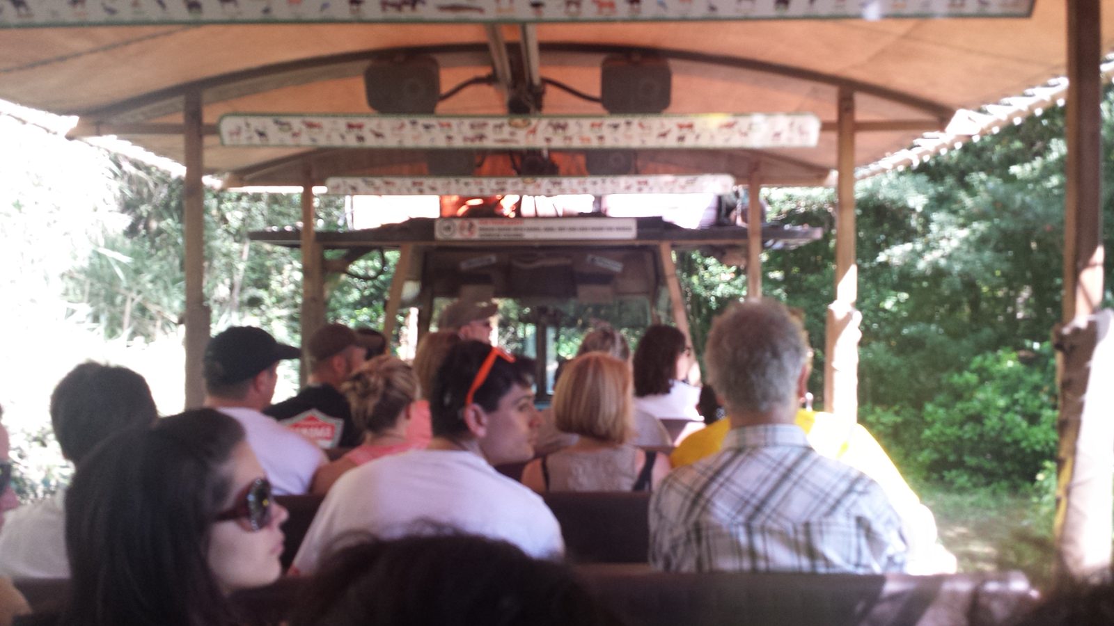Riding the open safari truck through Africa