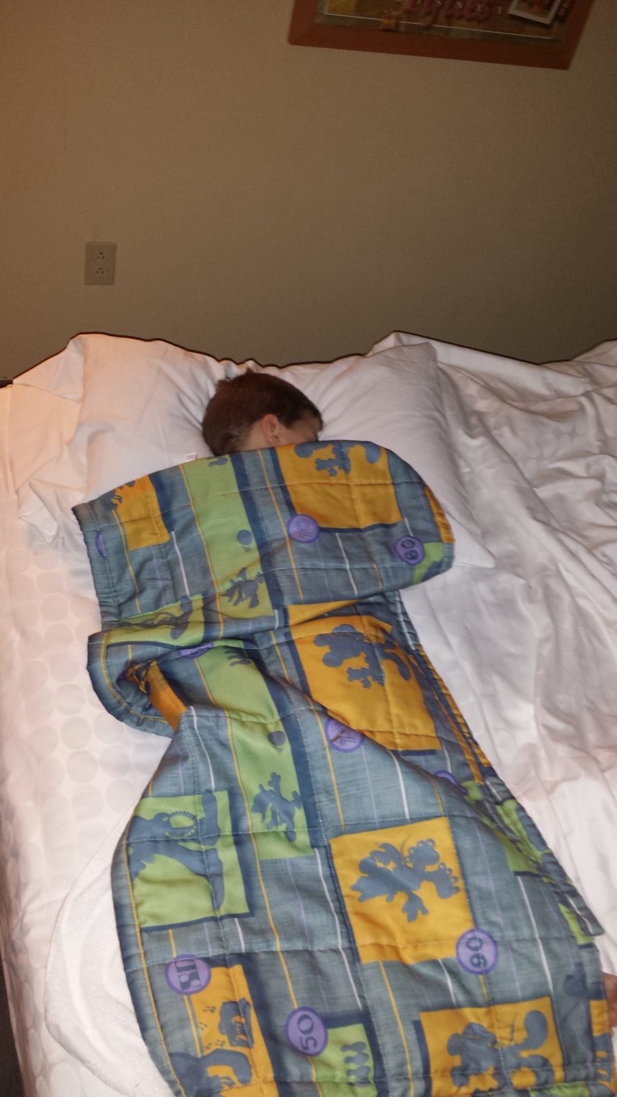 Asleep under the blanket after a very long day