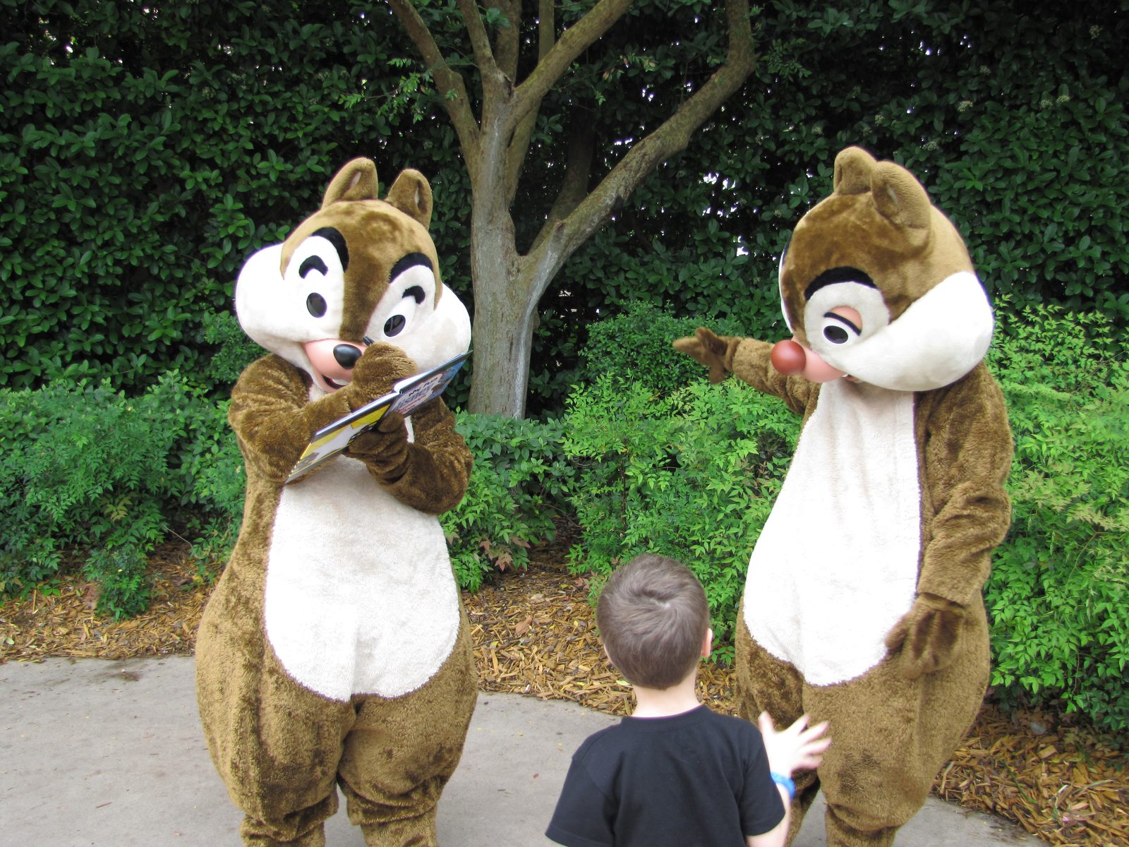 Thomas meets Chip and Dale
