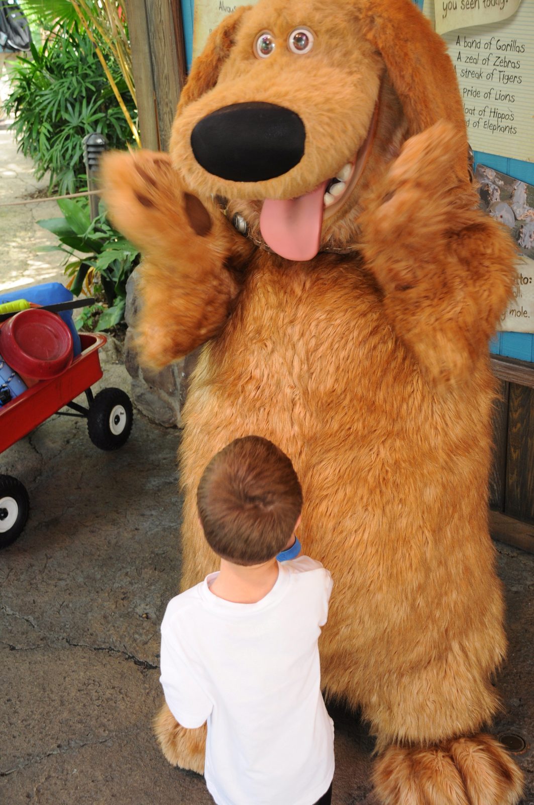 Thomas gets a hug from Dug