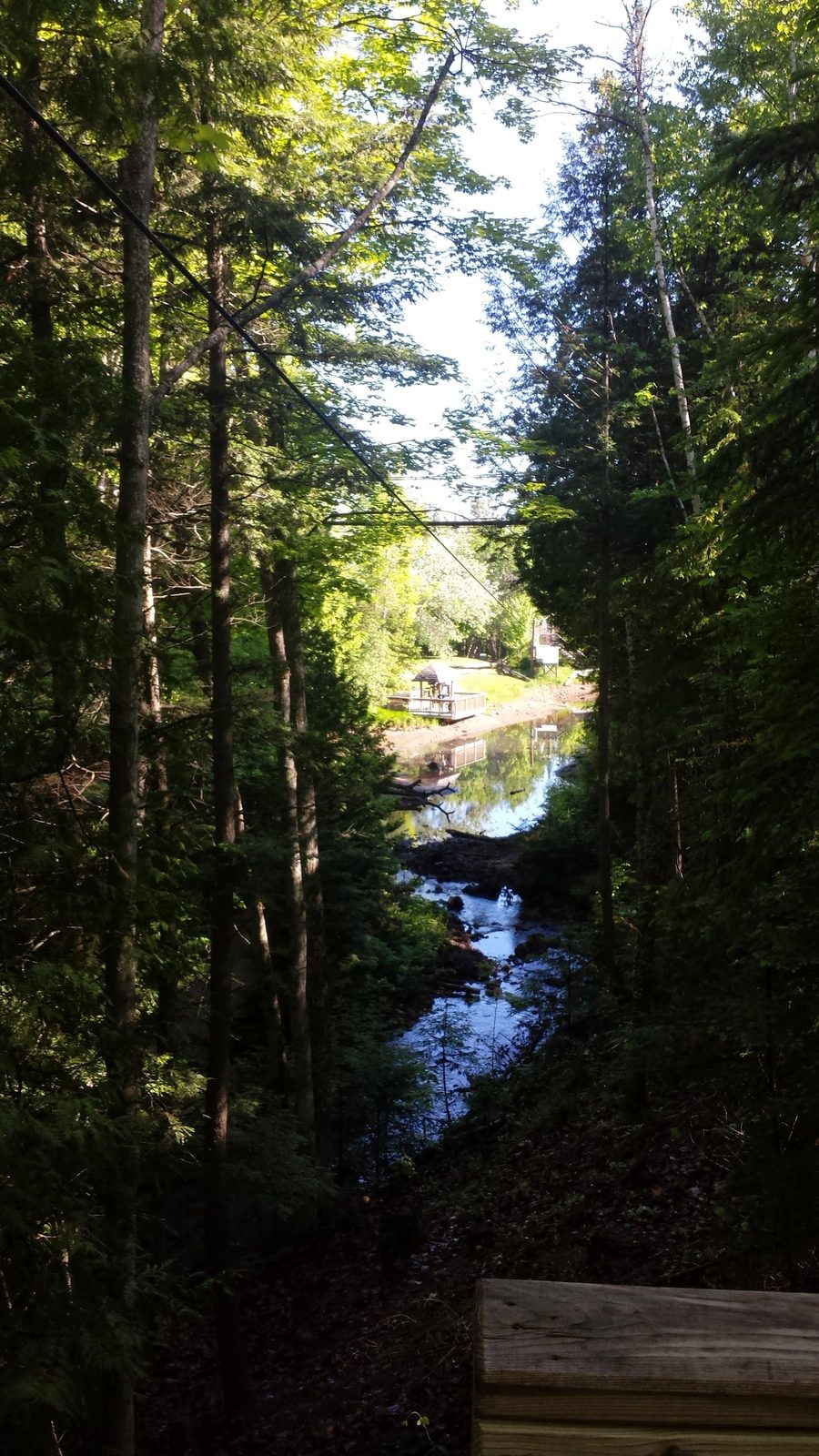 The creek running through Mill Creek Discovery Park