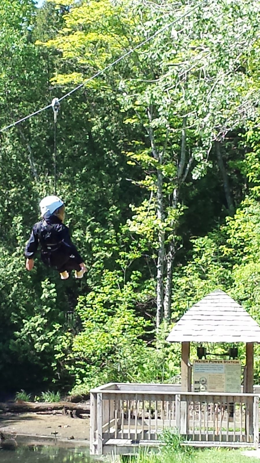 Soaring over the trees on the zip line