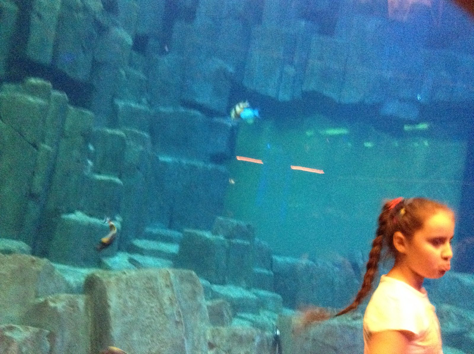 Lisa at the big tank
