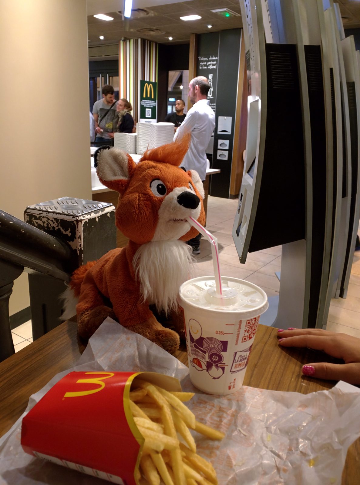 Late McDonald's stop with the new fox