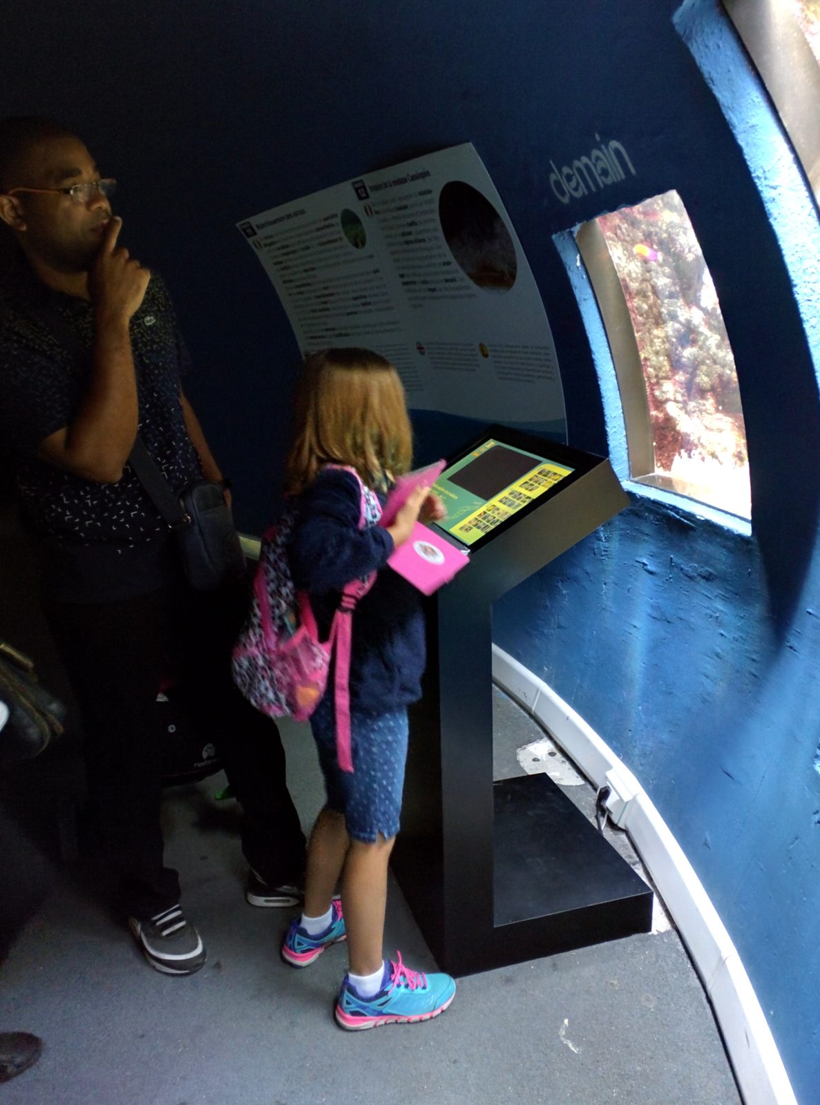 At one of the tank windows in the aquarium