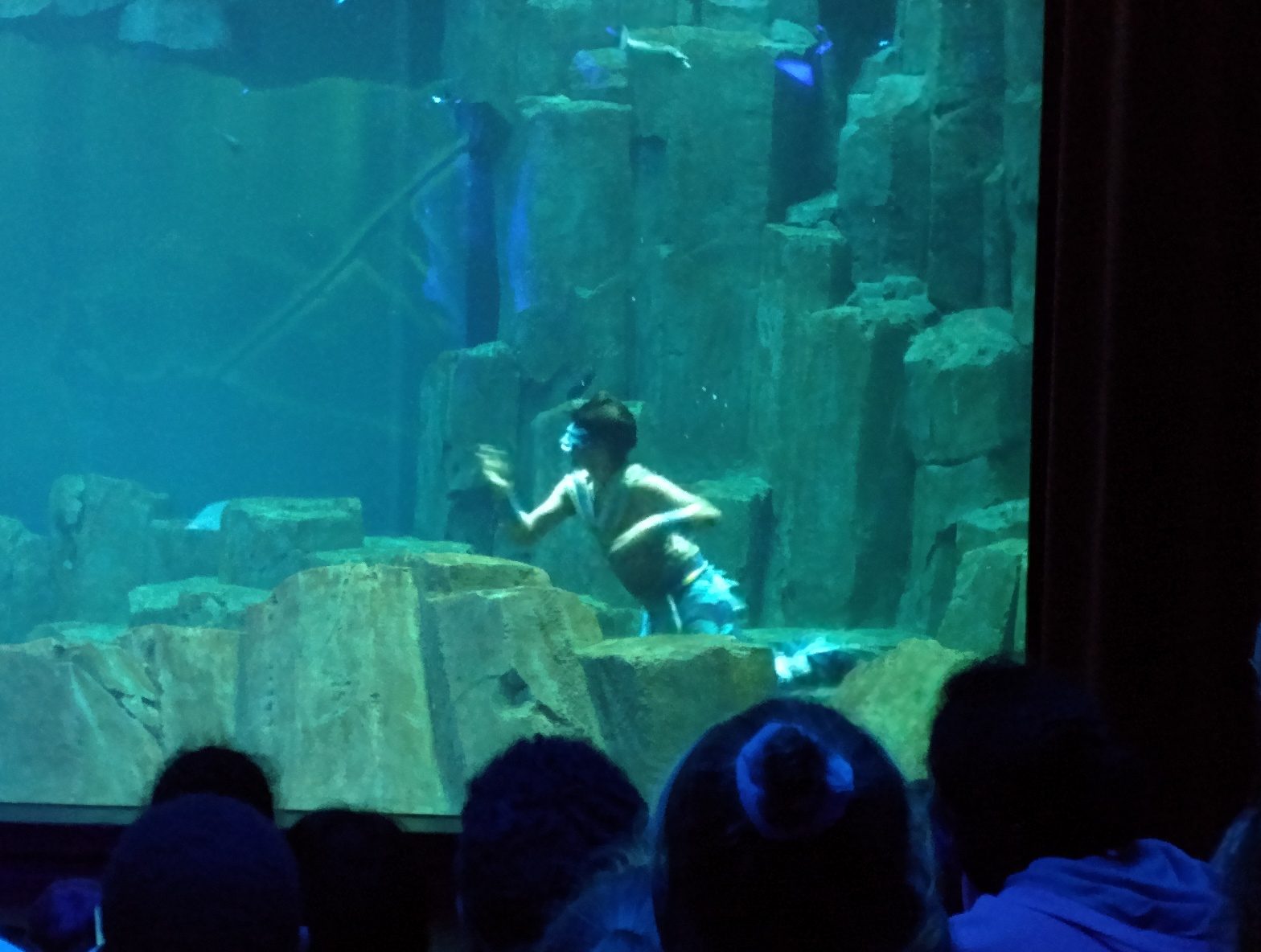 The mermaid diver in the big tank
