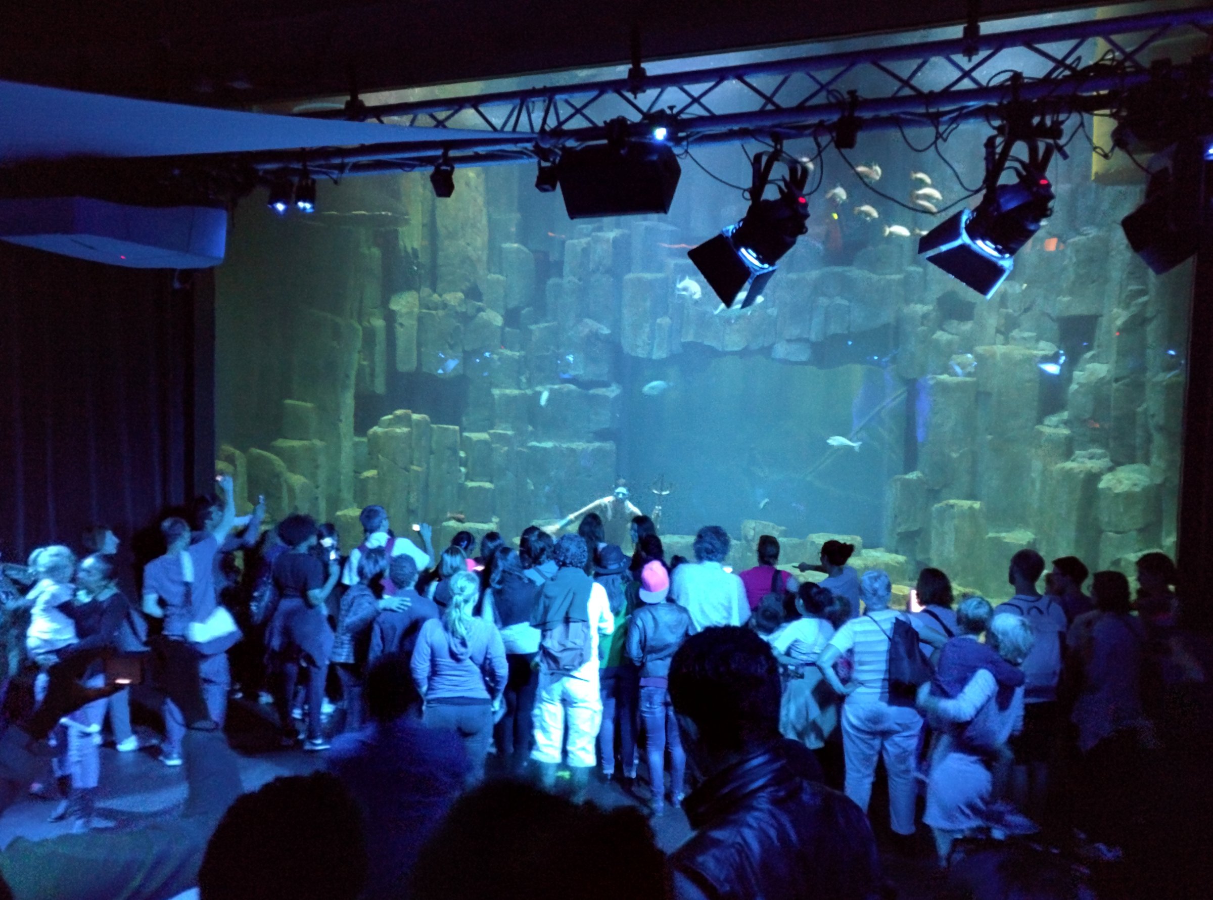 The mermaid show at the aquarium
