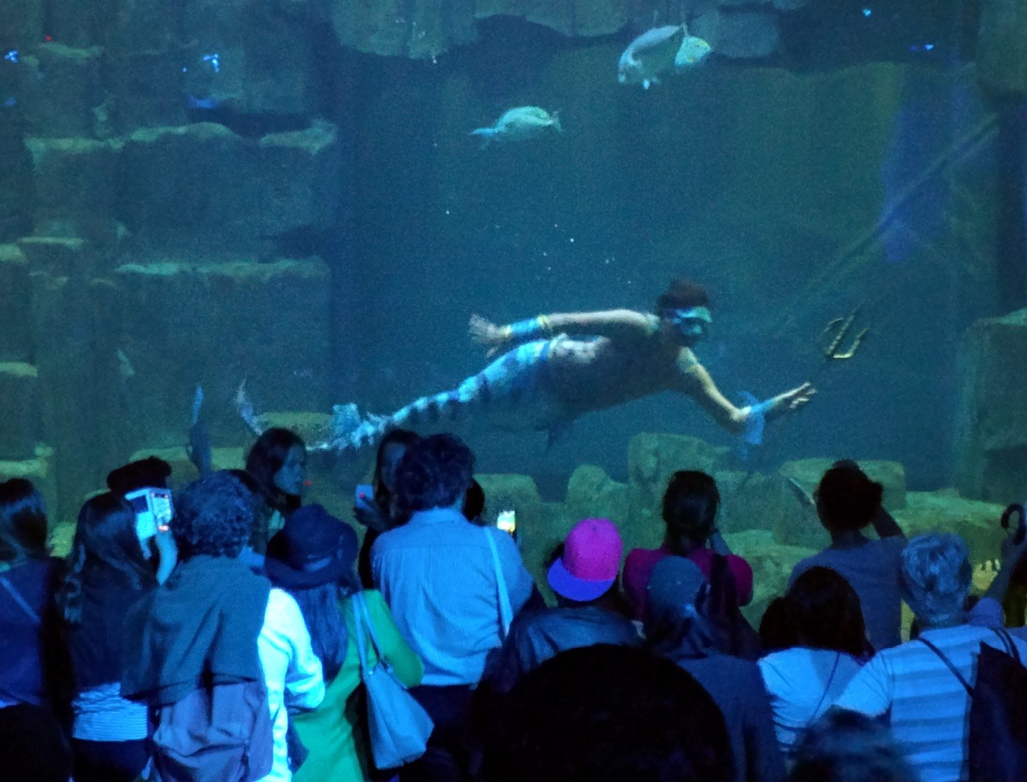 Not impressed that the mermaid we waited 2 hours to see is a merman