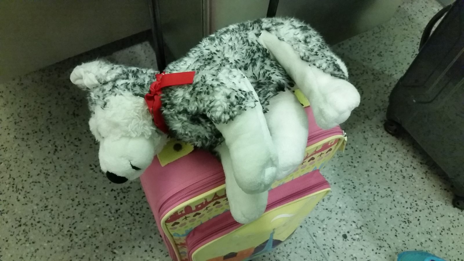 Bob strapped in for the flight to Orlando