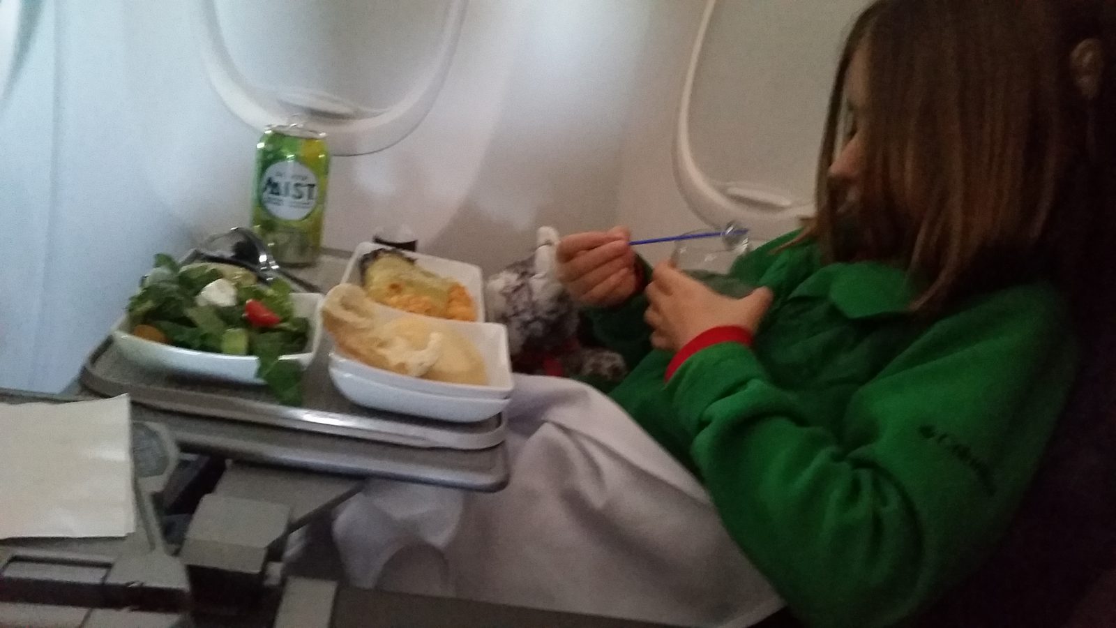Lisa's airline dinner tray