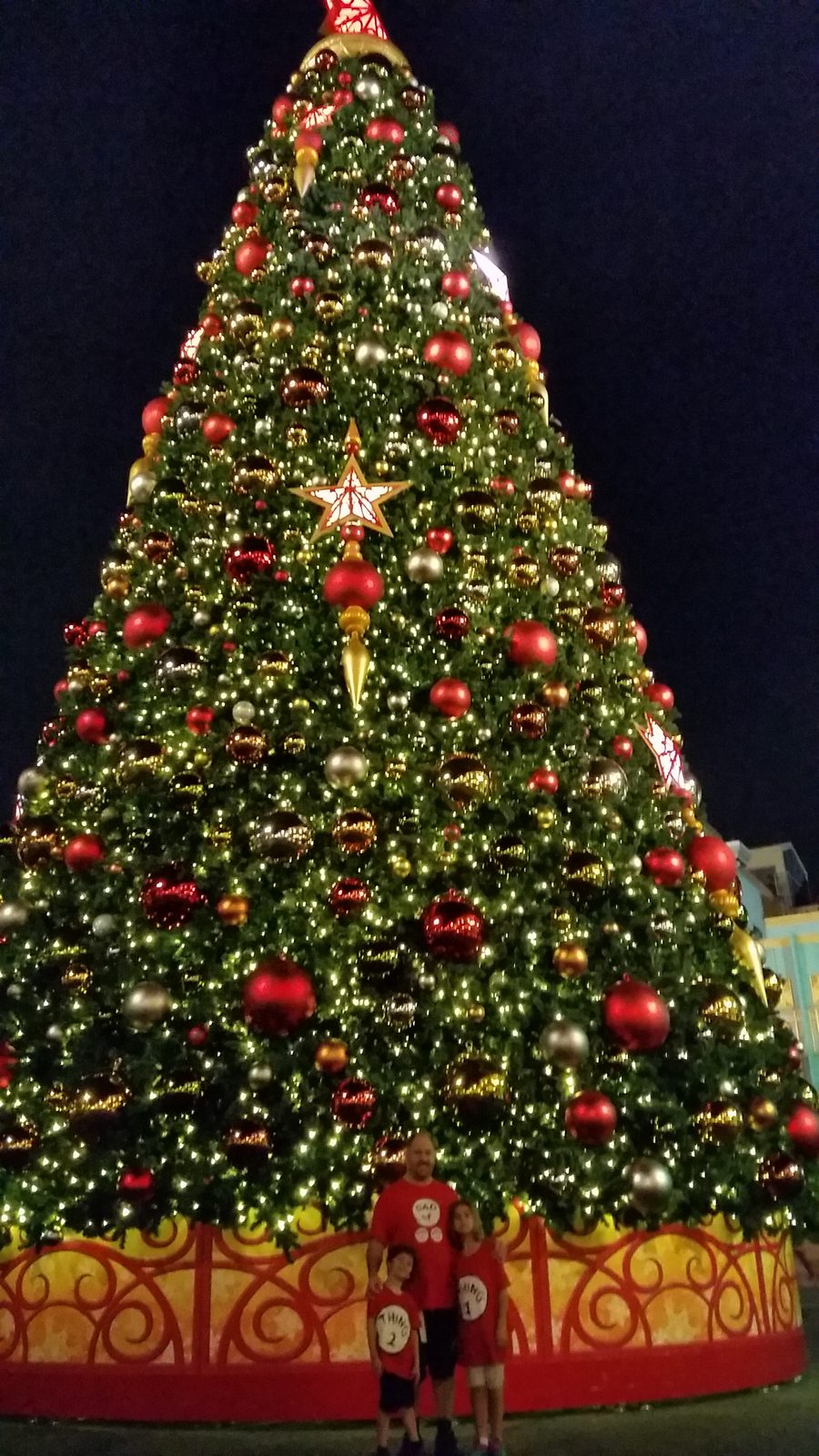 The big Christmas tree after the parade