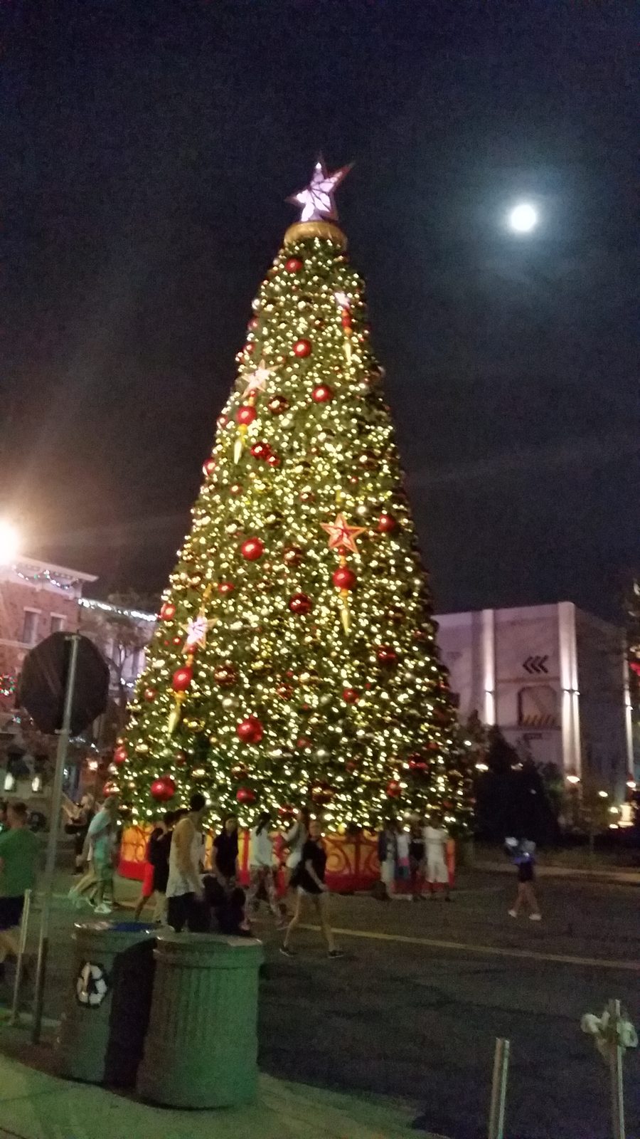 The Christmas tree under a full moon