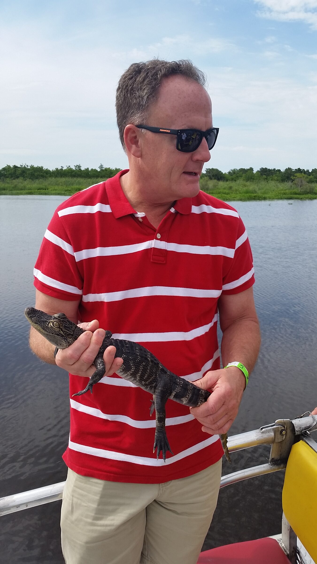 A closer look at the baby alligator